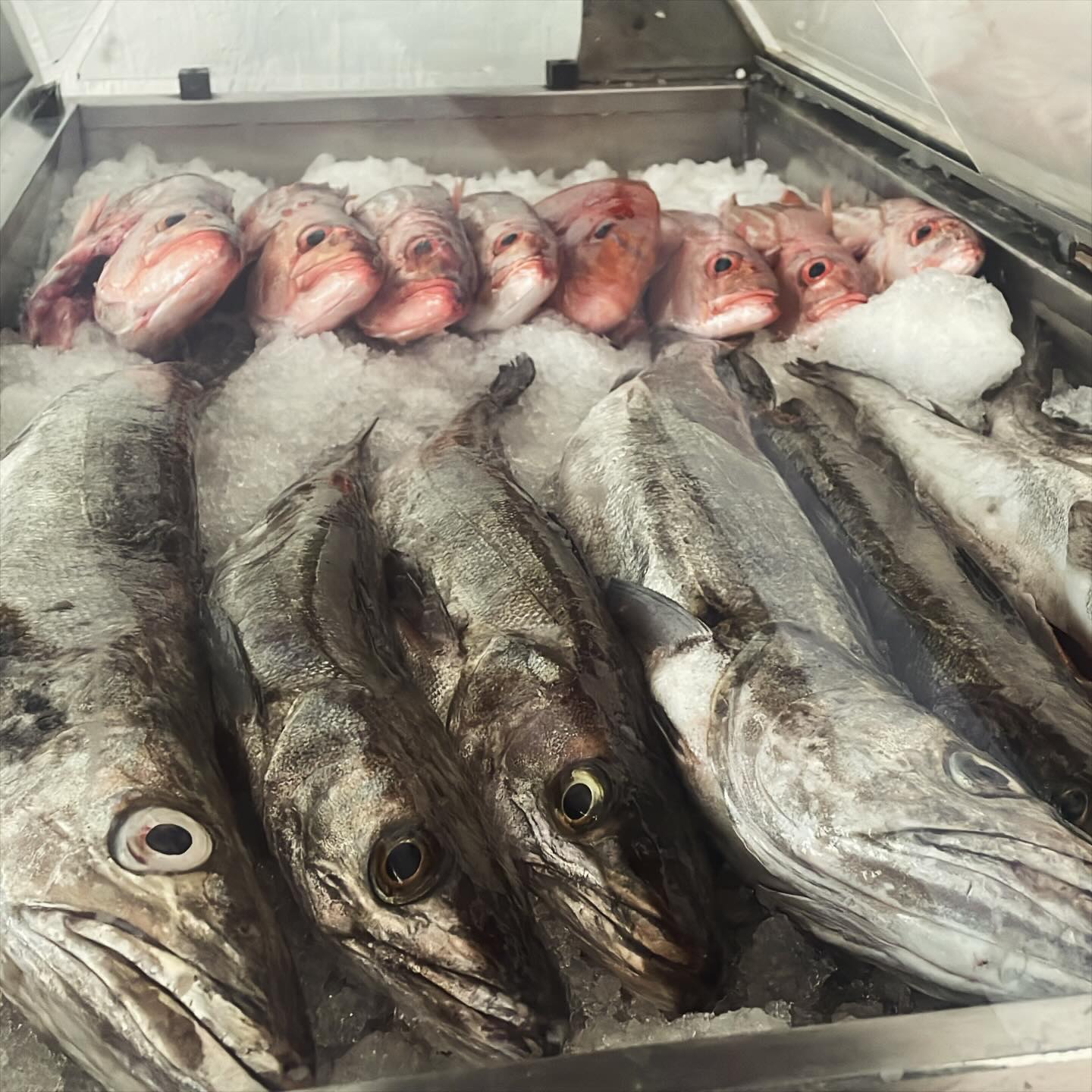 Ndlambe Seafood