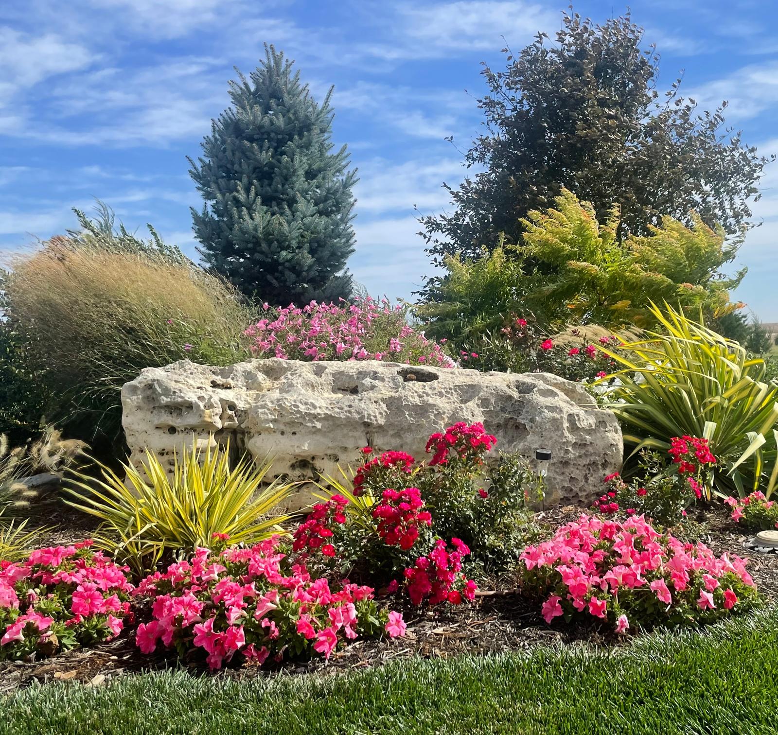T and T Landscaping LLC | Montezuma KS