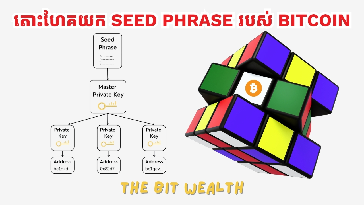 The Bit Wealth