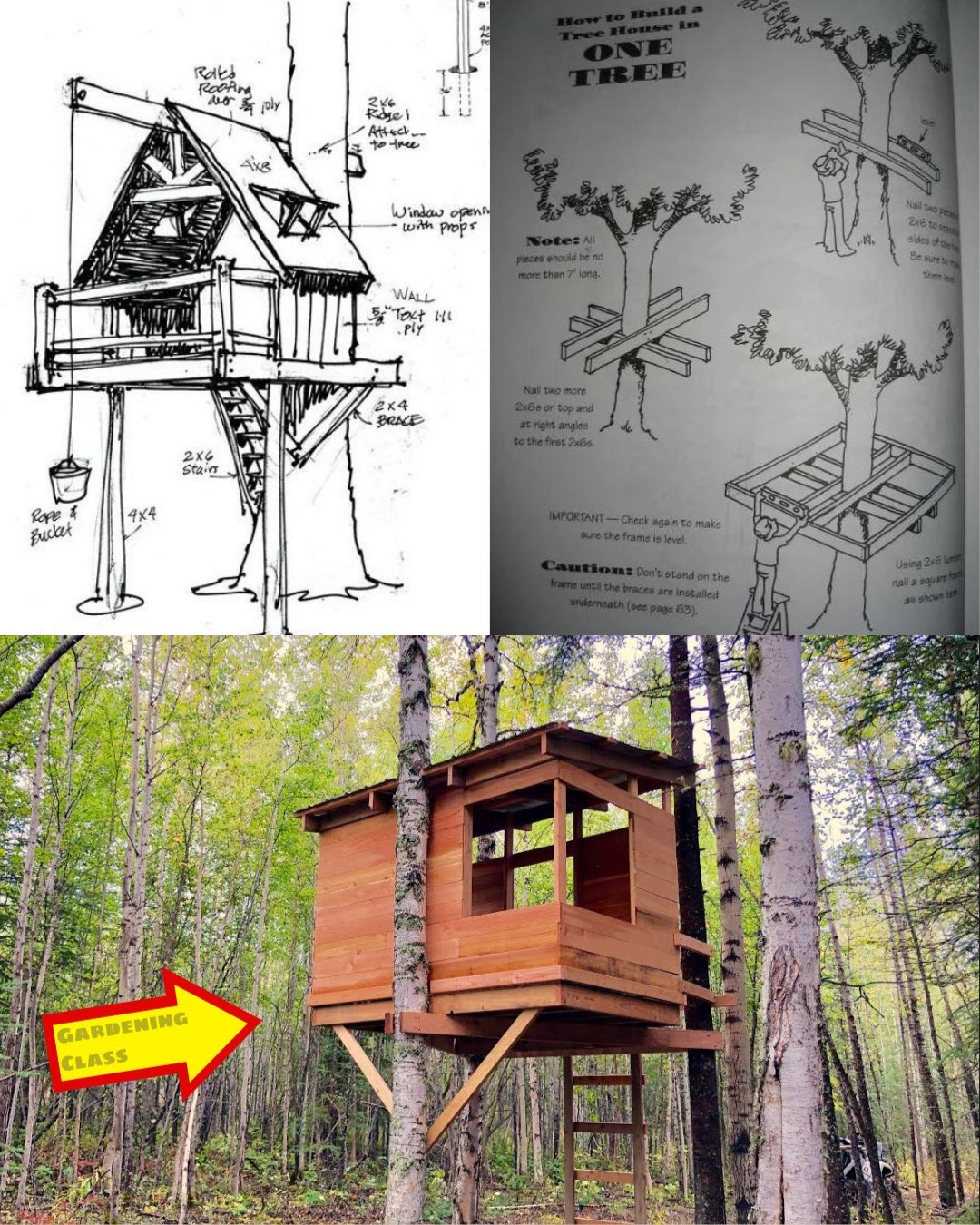 Plants and Gardening - 🏡How to Build a Safe Treehouse That Won’t Harm ...