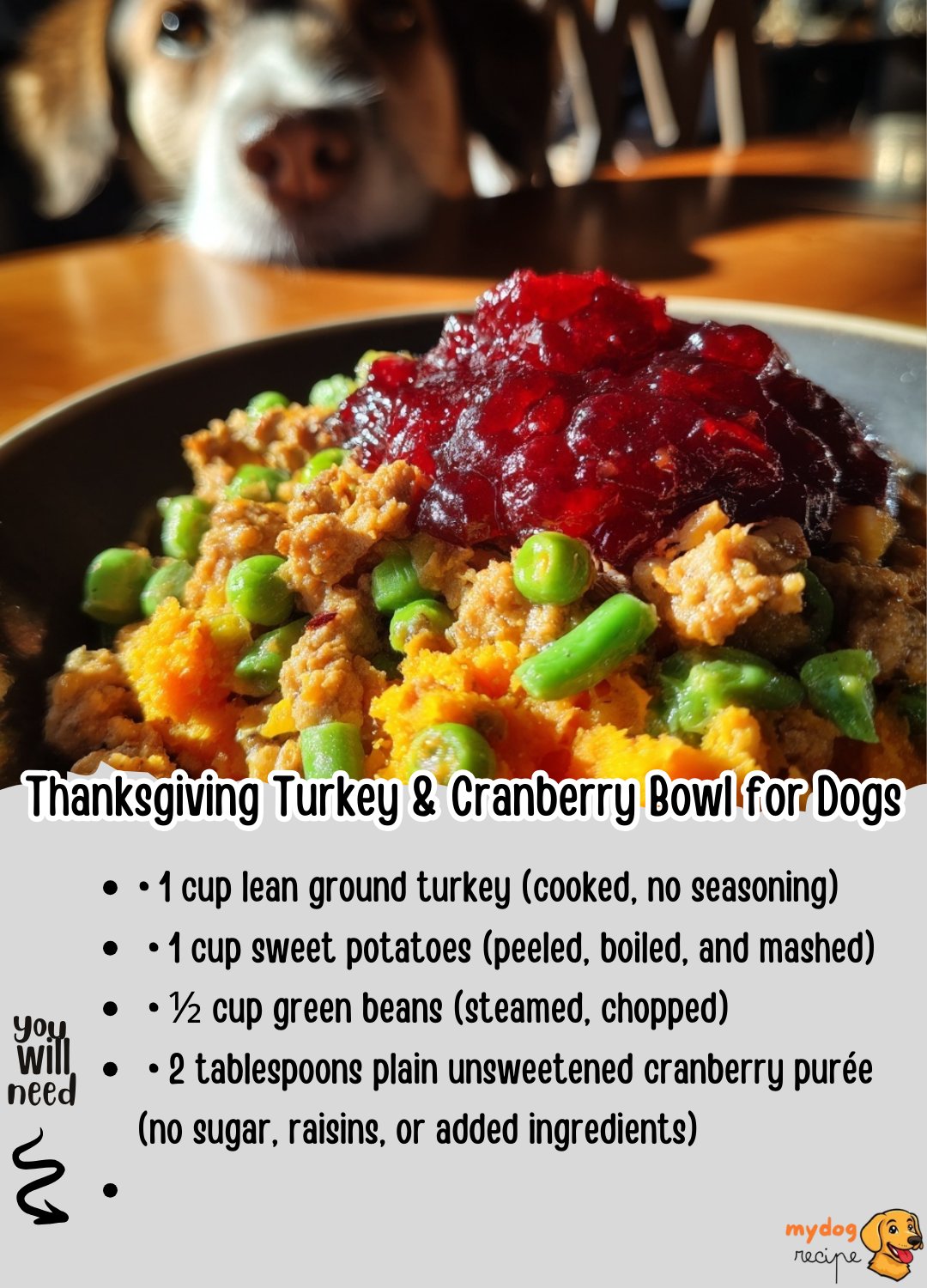 Stunning Senior Dog Recipes With Turkey And Green Beans image