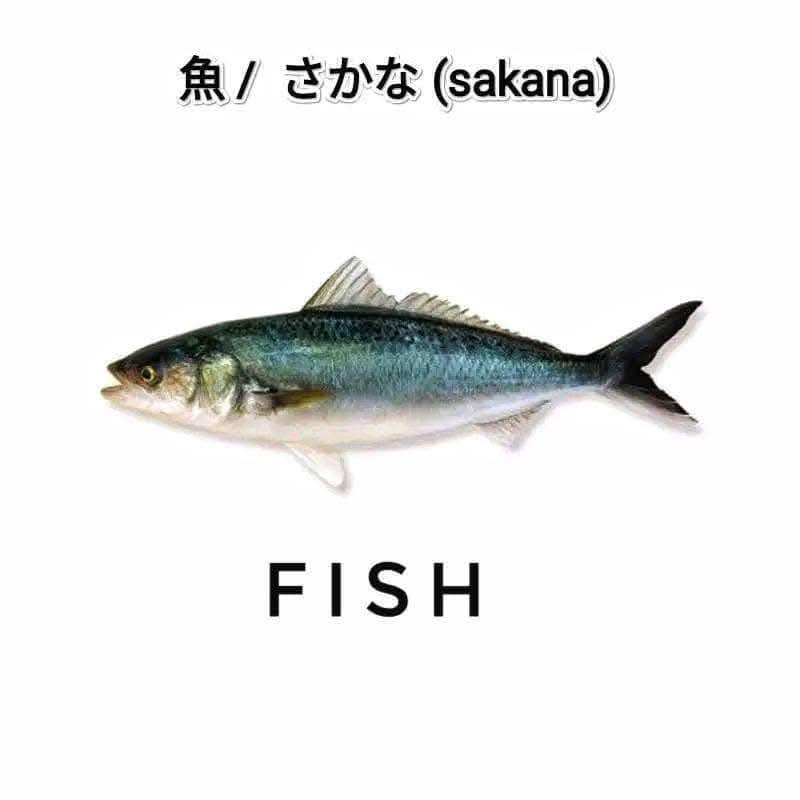 魚 Reading: ▪️ さかな (sakana) Translation: ▪️ fish URL