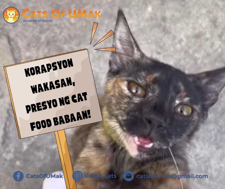 Cats - 𝑲𝑶𝑹𝑨𝑷𝑺𝒀𝑶𝑵 𝑾𝑨𝑲𝑨𝑺𝑨𝑵, 𝑷𝑹𝑬𝑺𝒀𝑶 𝑵𝑮 𝑪𝑨𝑻 𝑭𝑶𝑶𝑫 𝑩𝑨𝑩𝑨𝑨𝑵! Kami, bilang isang ...
