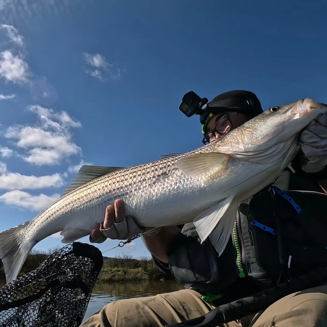 Caught on the Zebco Dock Demon🤙🎣 #fishing #bayareafishing #sonomacounty ...
