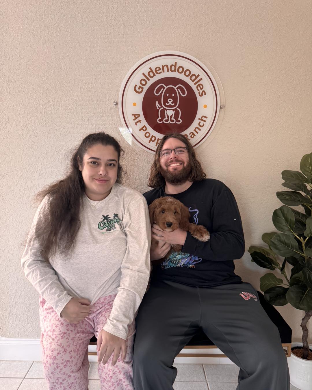 Goldendoodle poppy ranch | Kissimmee FL