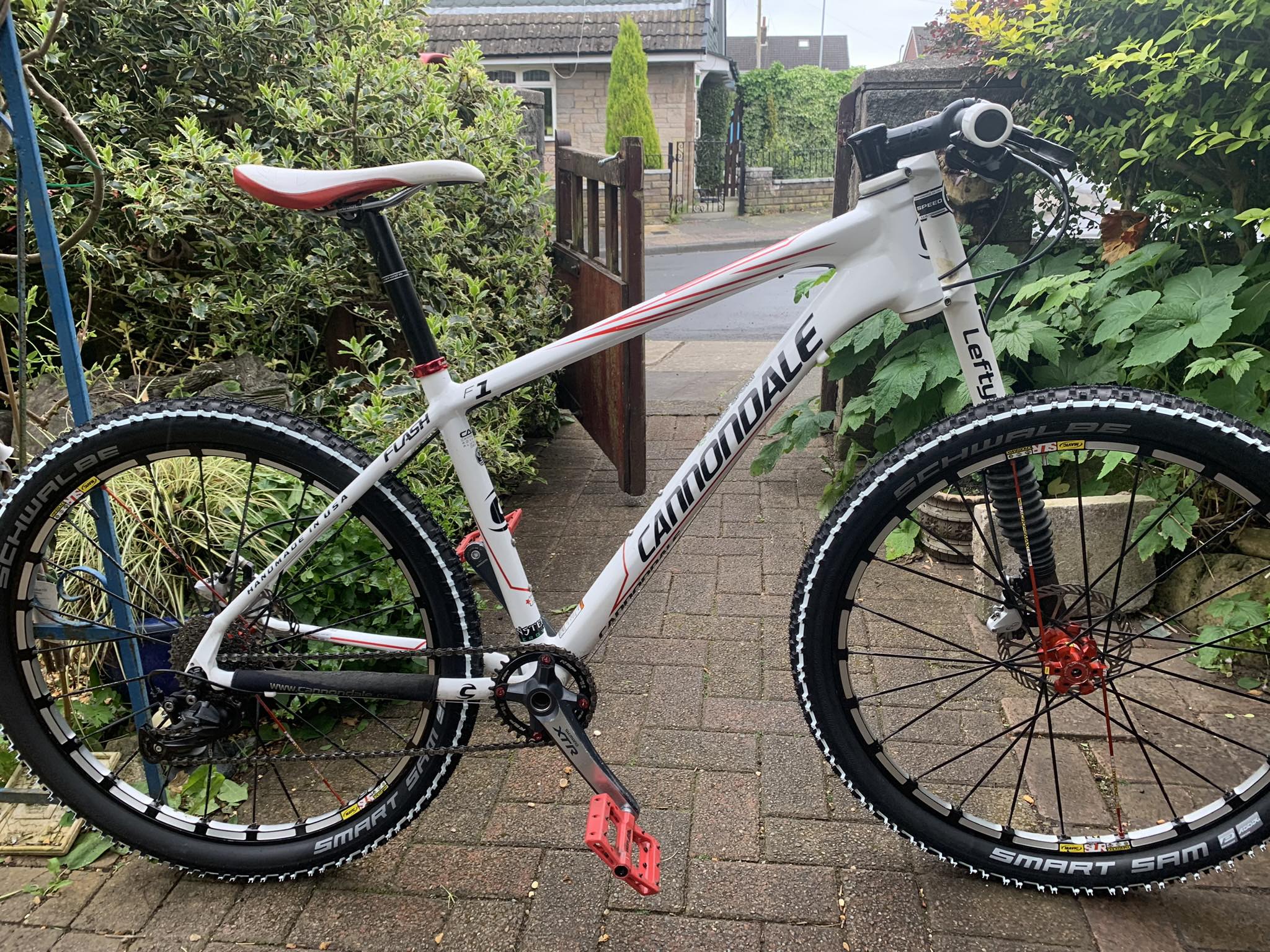 Cannondale Lefty Flash F2 in specific color?