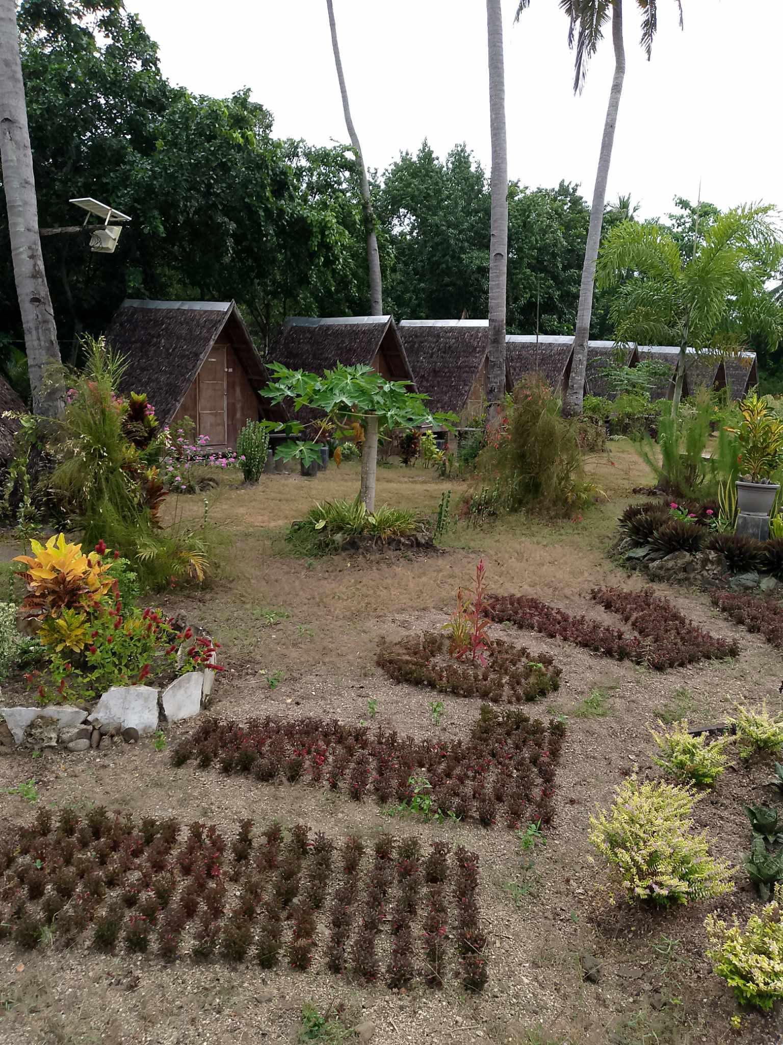 Lohong Beach Camp & Resort... - Lohong Beach Camp & Resort