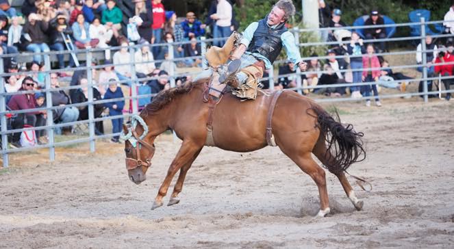 Ulverstone Twilight Rodeo | Ulverstone TAS