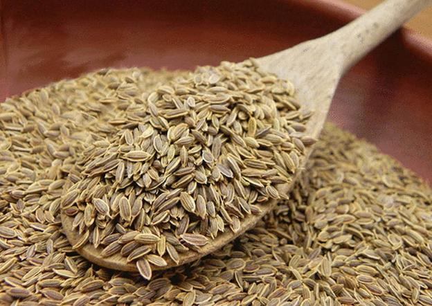 Vietnam Agricultural Products | Ho Chi Minh City