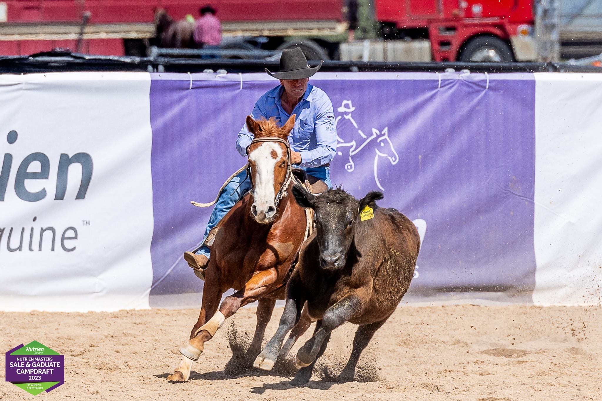 2025 Nutrien Supreme Sale & Campdraft | Facebook