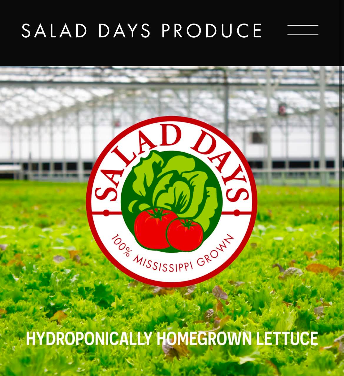 Salad Days Produce in Raymond for hydroponic lettuce