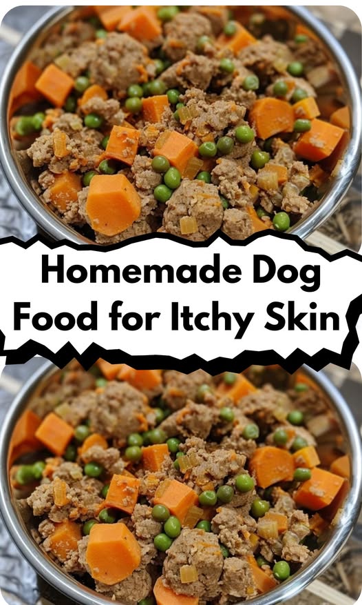 Curated visual reference: Homemade Homemade Dog Food For Itchy Skin Ingredients 1 Lb Photo Inspiration