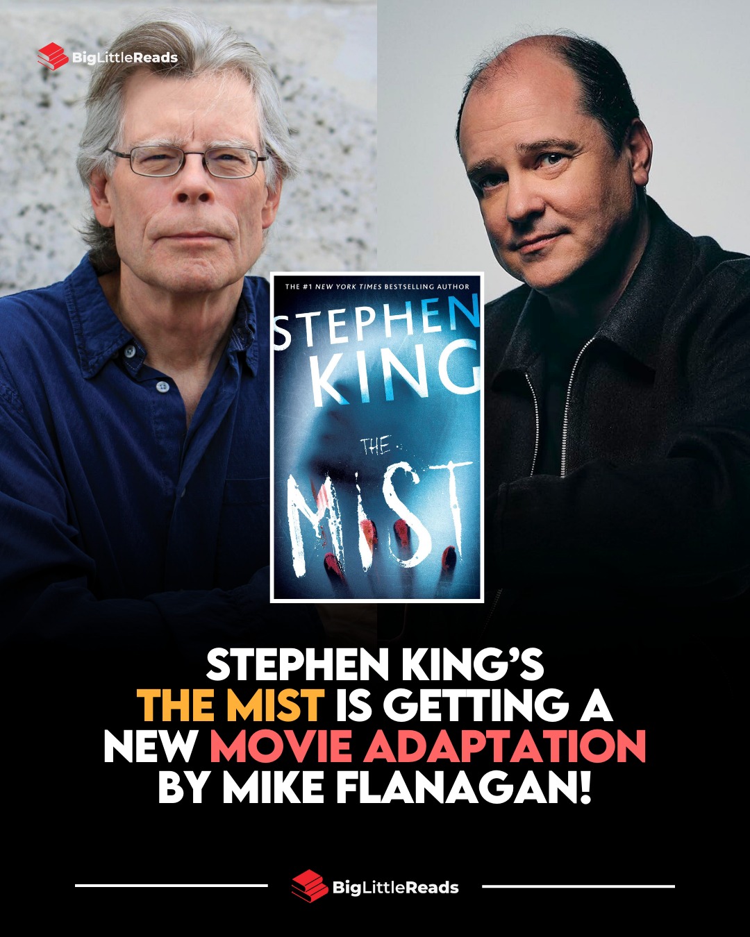 BigLittleReads - Stephen King's 
