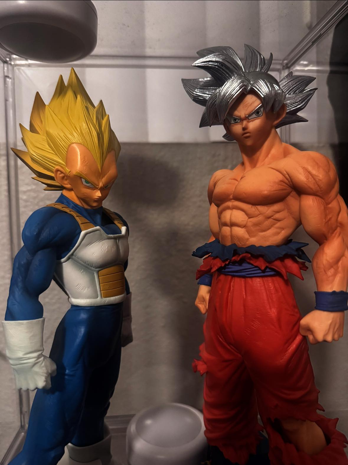 Goku & Vegeta SMSP