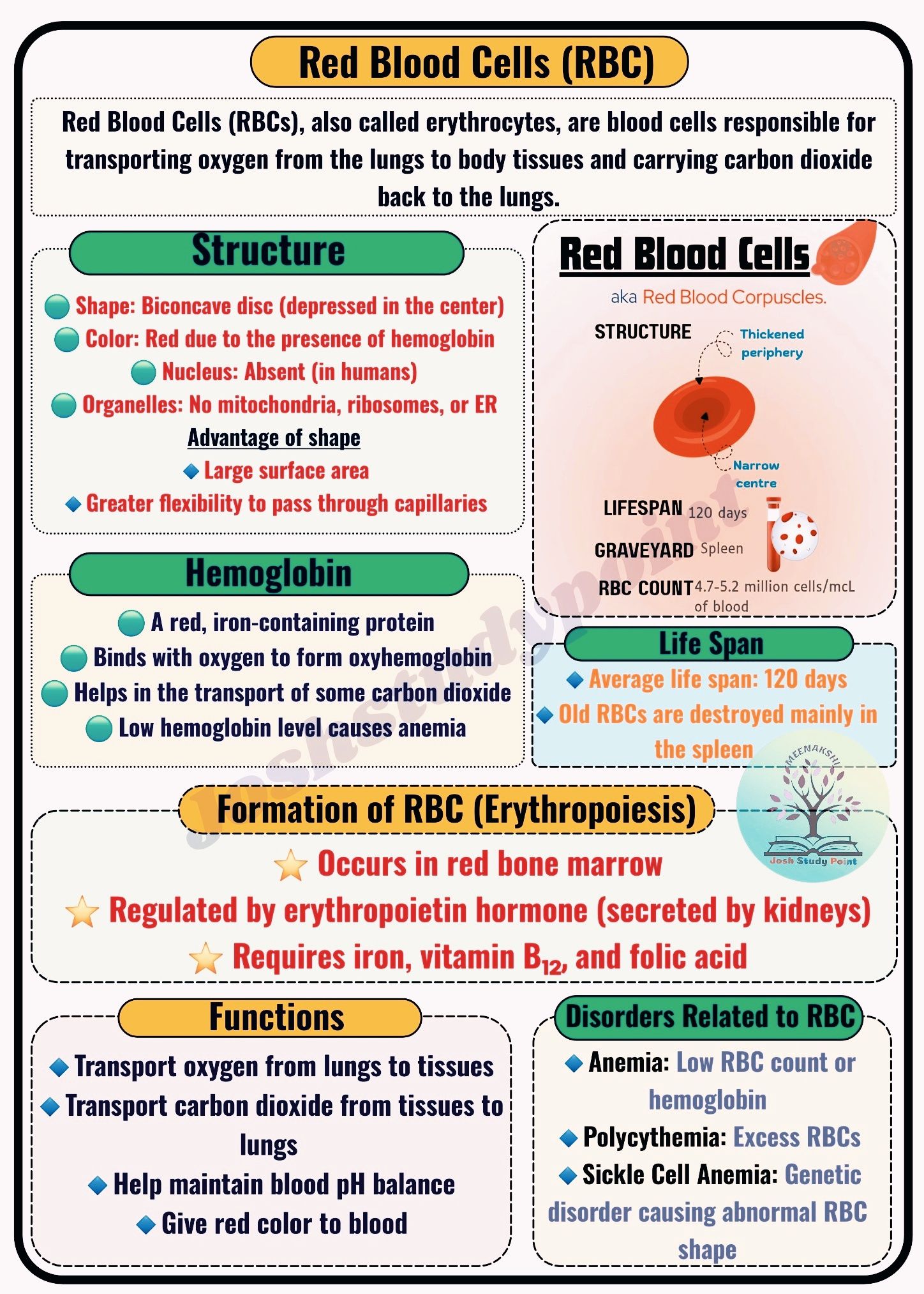 Science teachers | Tiny crimson couriers of life, RBCs carry oxygen ...