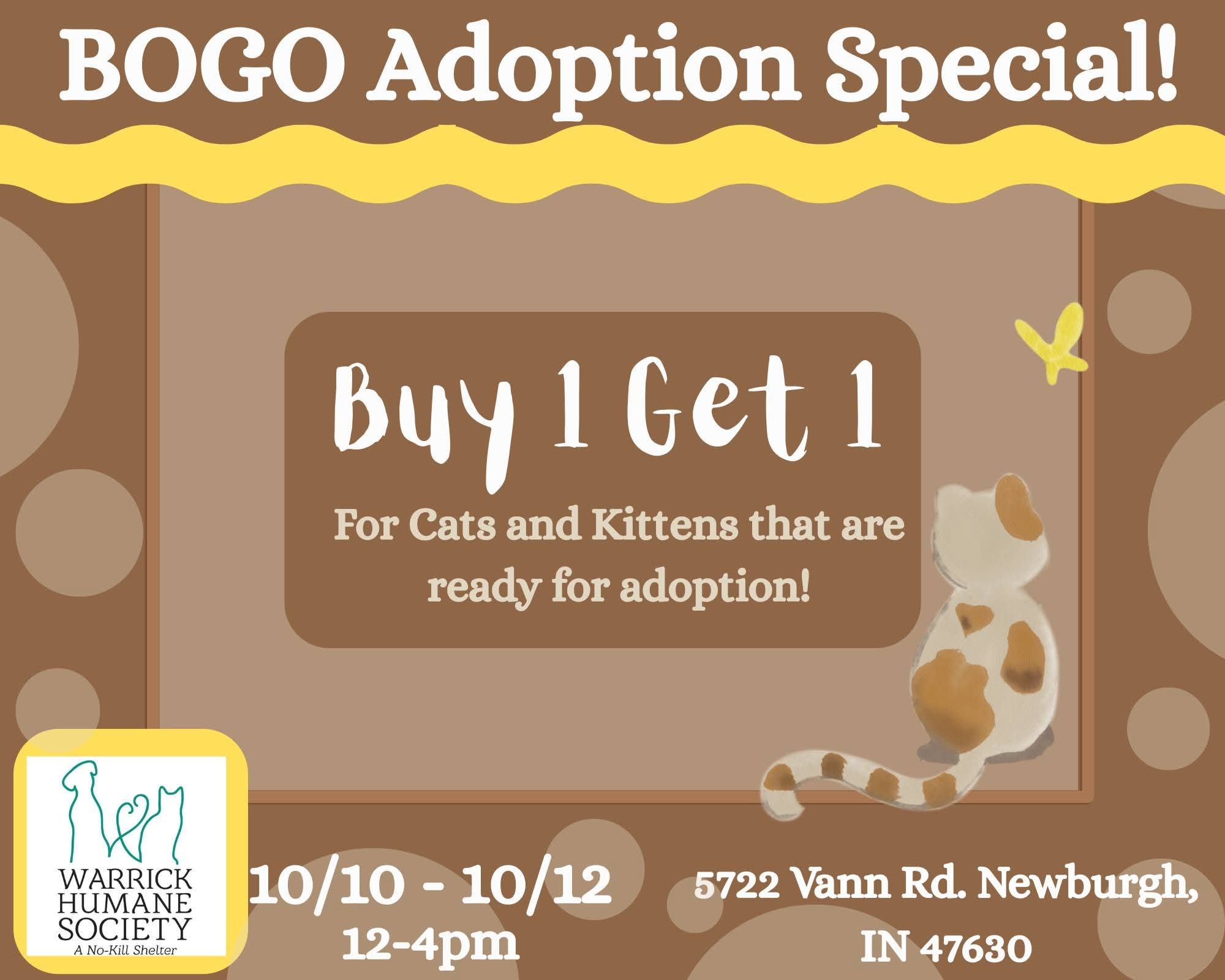 Warrick - 🐱 BOGO Cat & Kitten Adoption Special! 🐱 Looking to add some ...