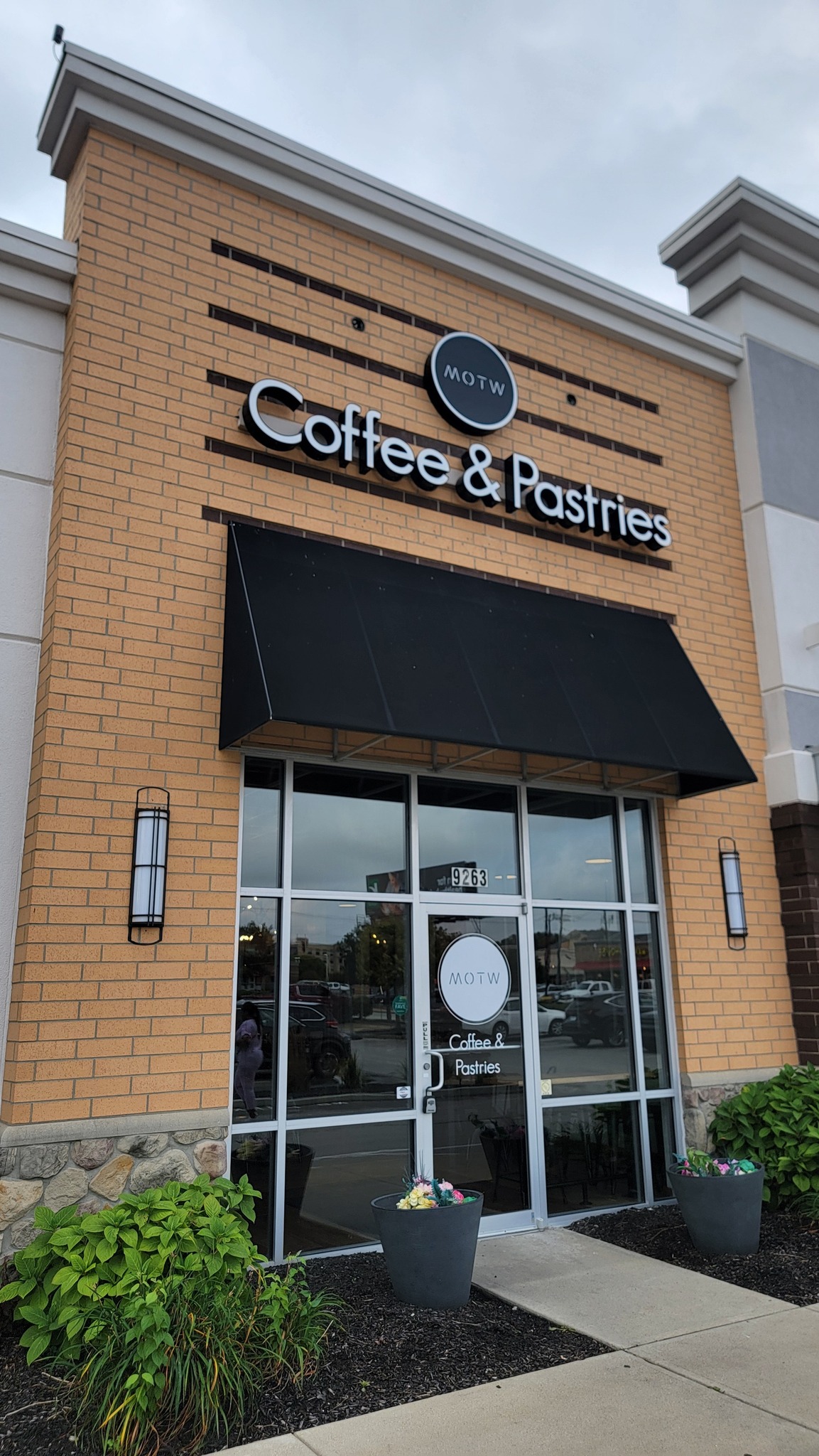 🚨 GRAND OPENING THIS SATURDAY! 🚨 MOTW... - Kiwi News Network | Facebook