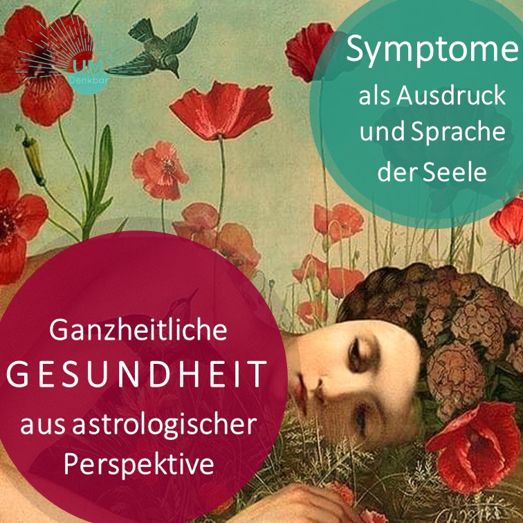 ️ Funktionskreis Herz und Dünndarm aus Sicht der Traditionellen ...