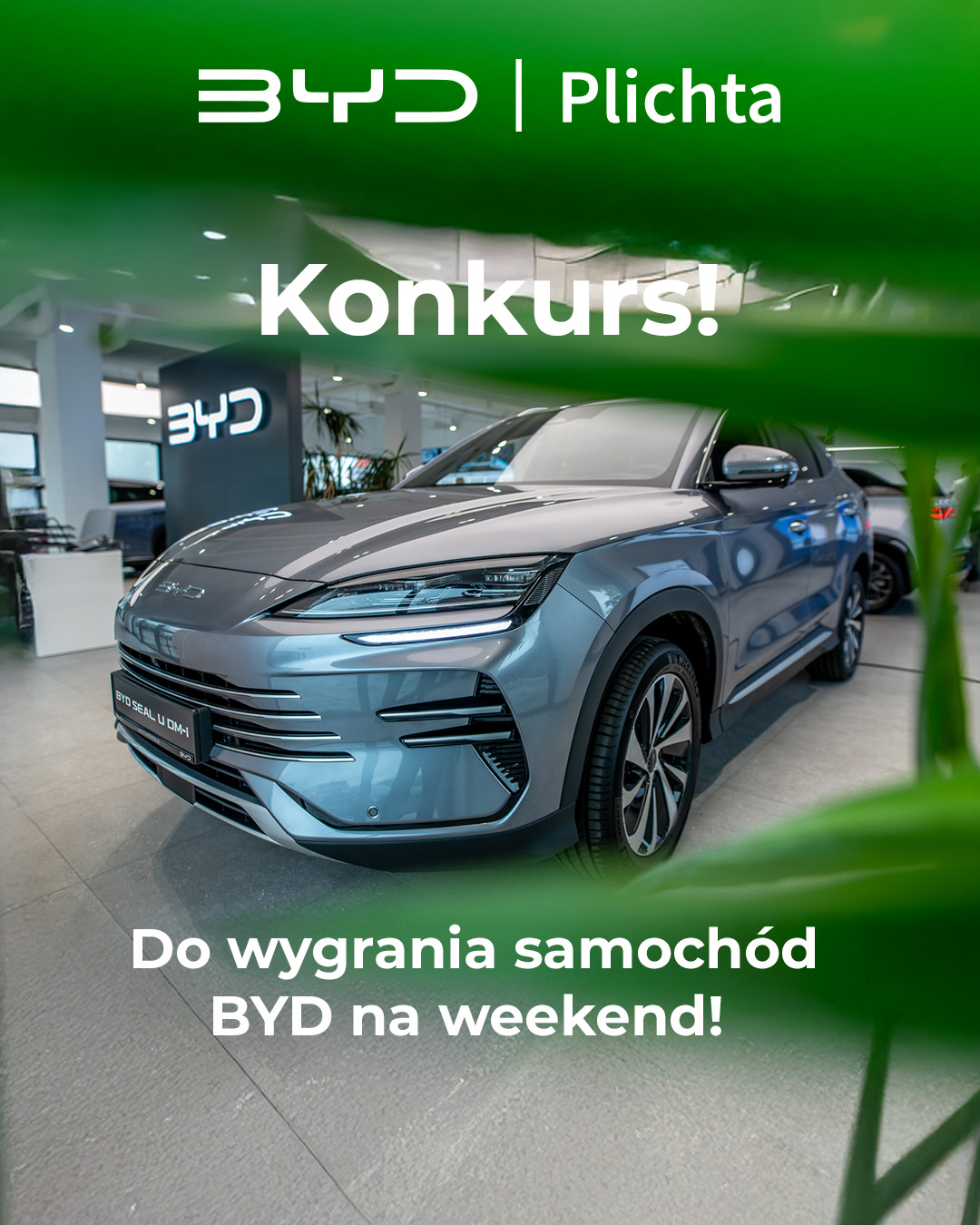 BYD Plichta | Gdynia