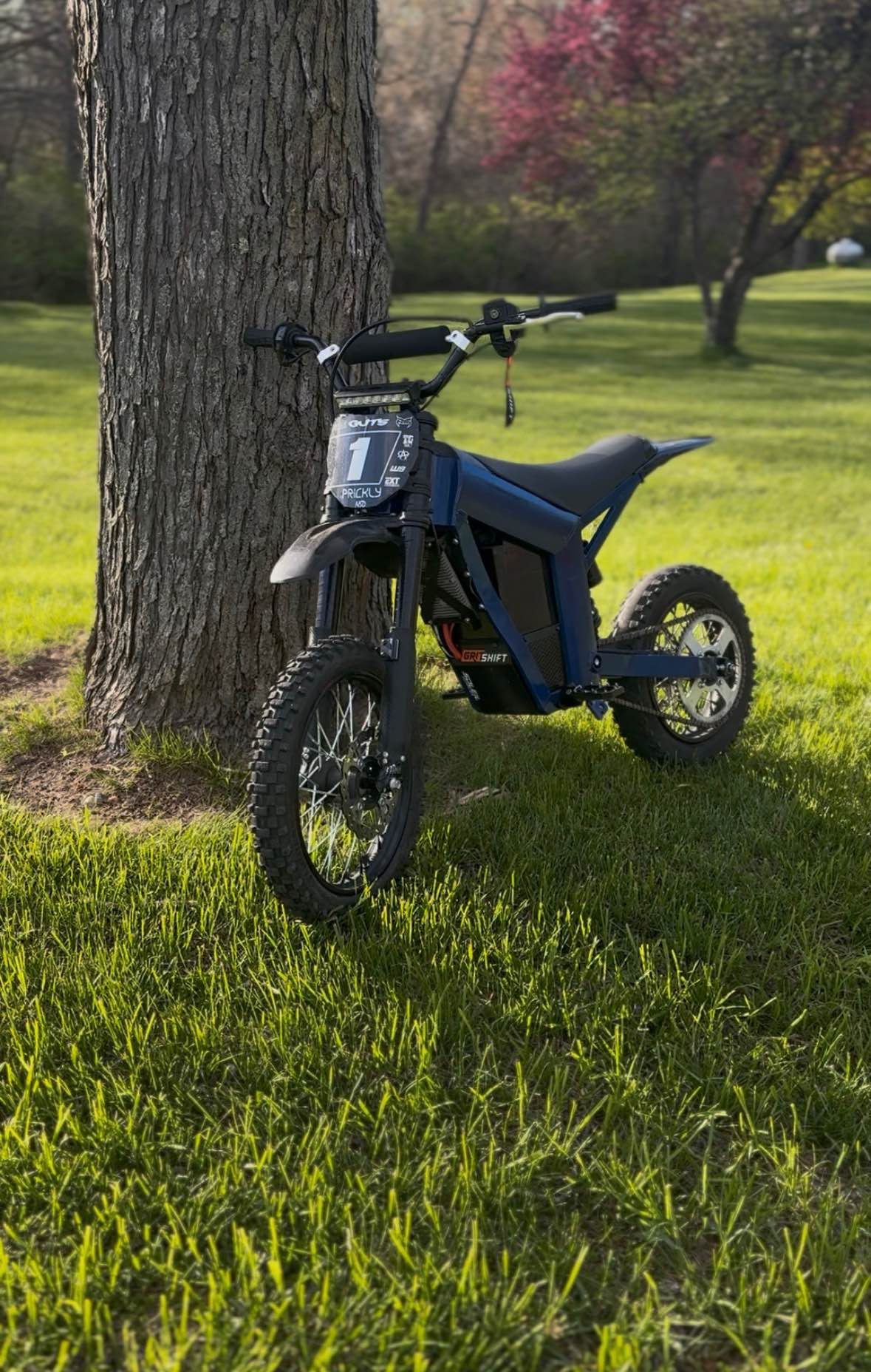 Here I have a 2025 tuttio soliel 01, I was hit by a car on it this