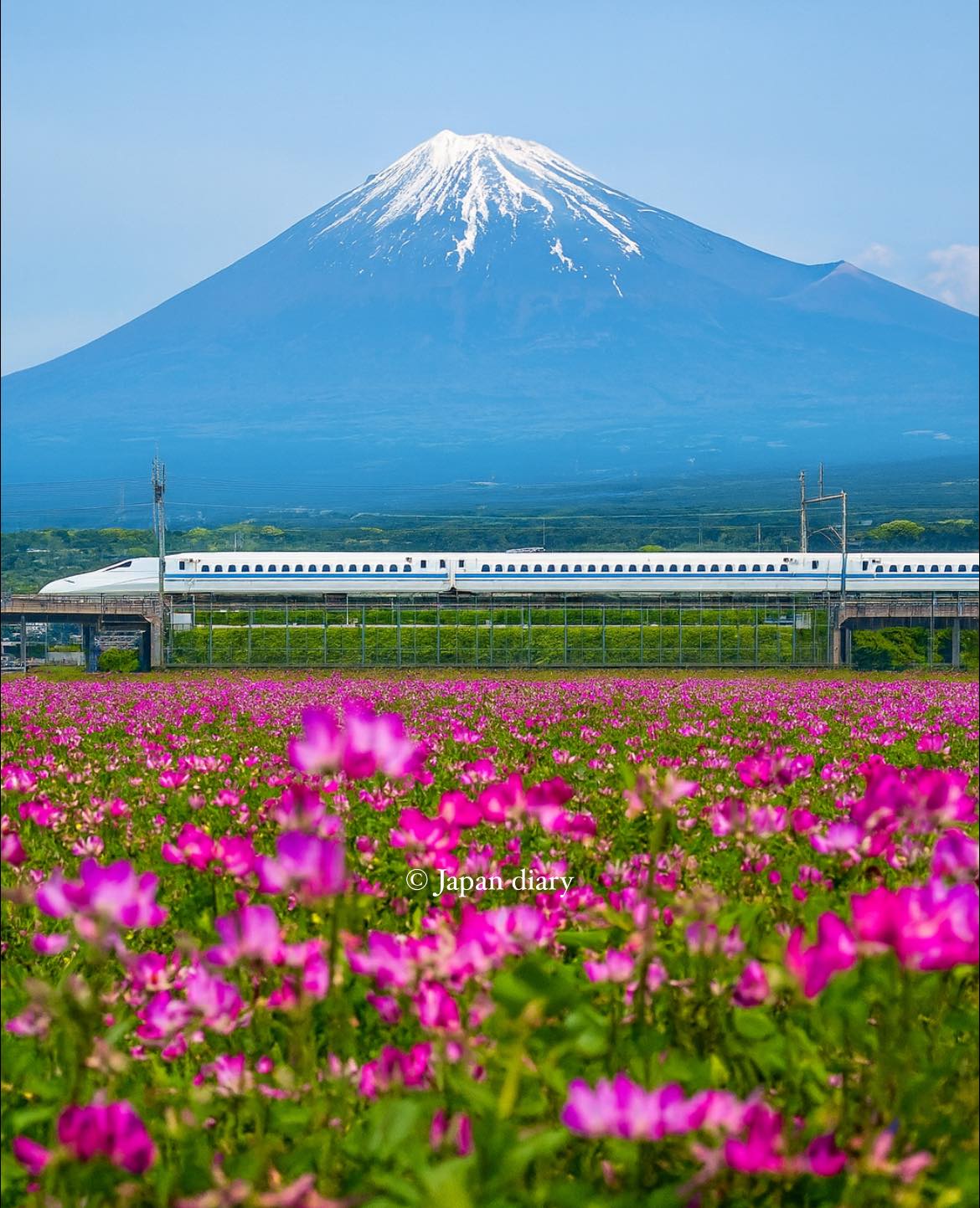 Fujisan ⛩️ #fuji #fujisan #mountfuji #japan