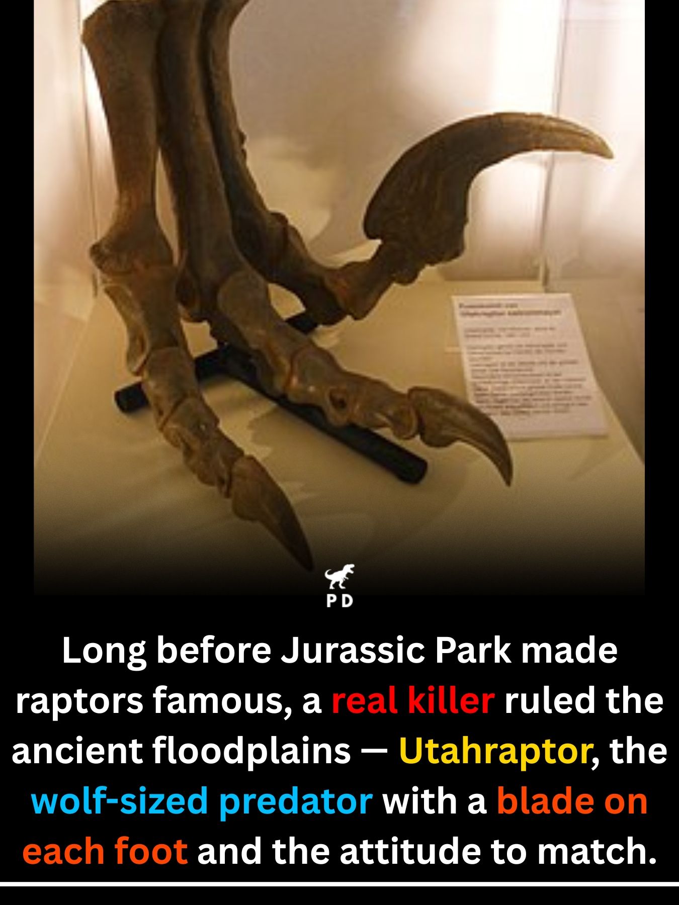 Forget the human-sized hunters of... - Mocking Merriment | Facebook