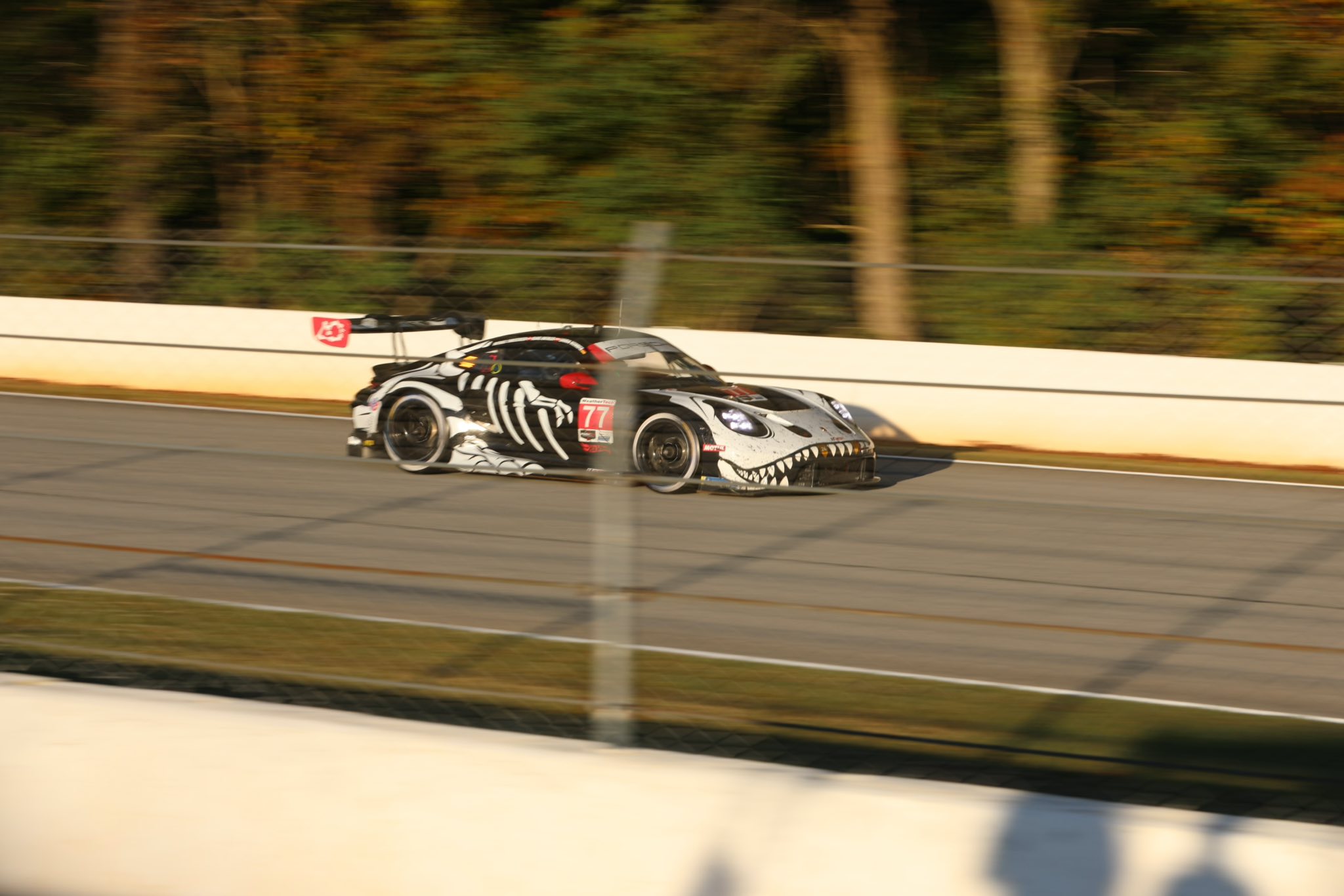 Flat - Petit Le Mans 2025 is in the books, with Porsche taking the GTP ...