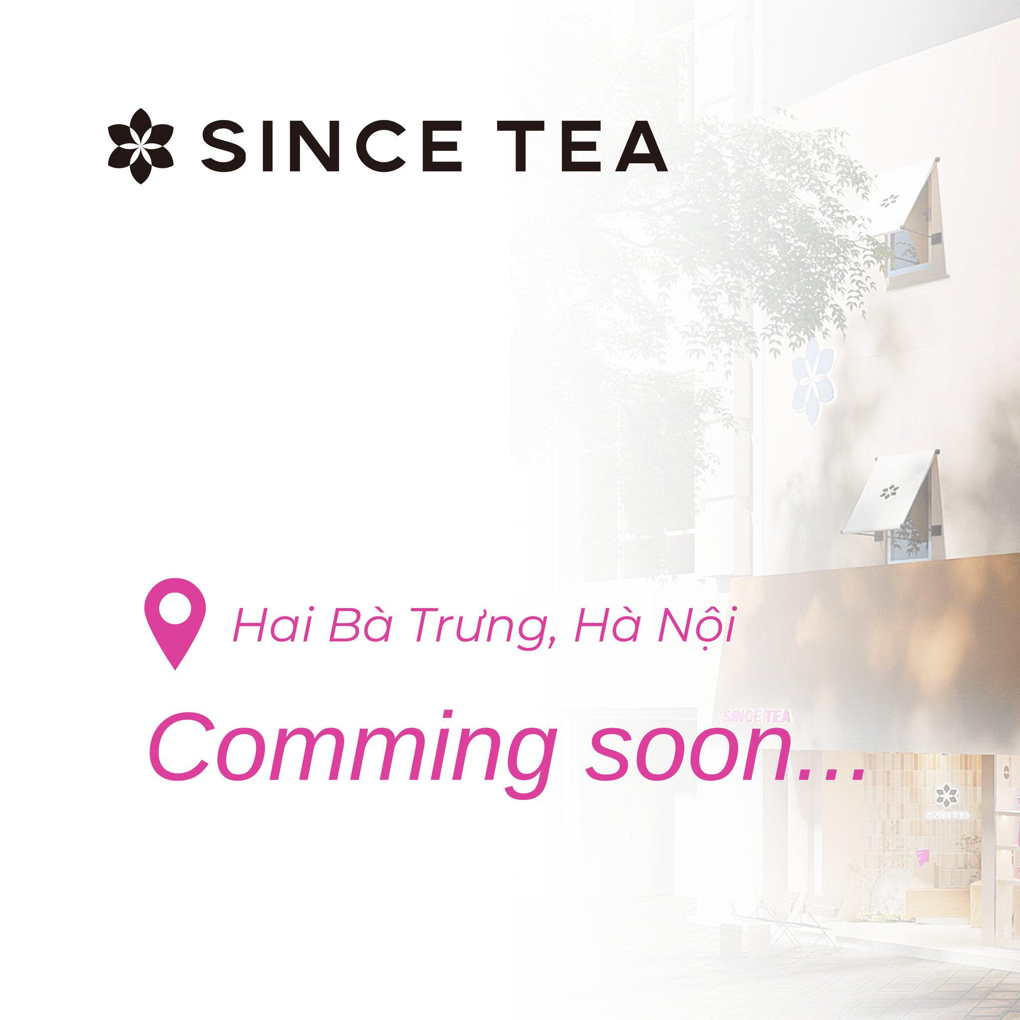 SINCE TEA FLAGSHIP HAI BÀ... - Since Tea - Trà Sữa & Egg Tart | Facebook
