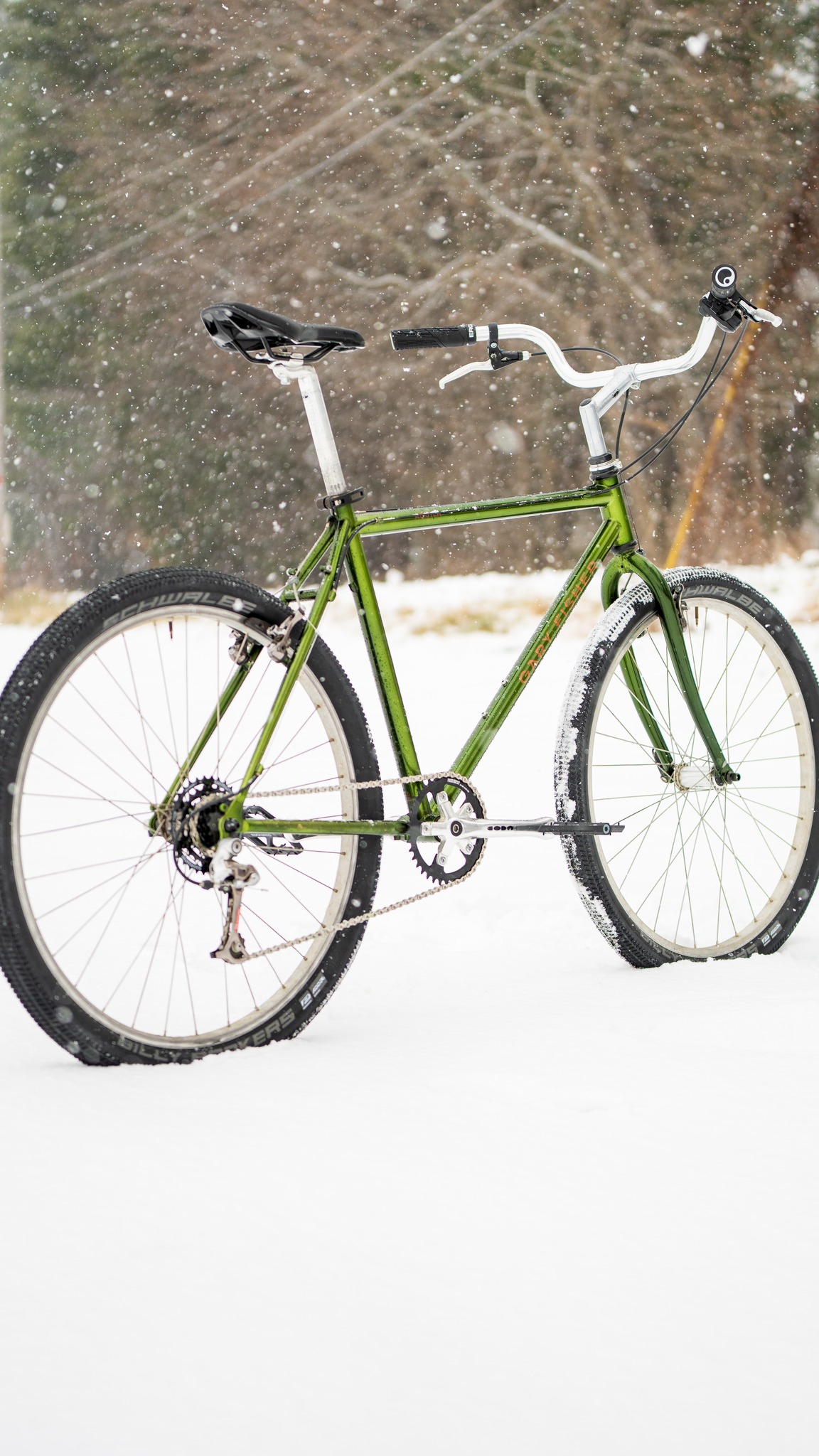 1995 Gary Fisher Aquila mountain bike with Schwalbe tires
