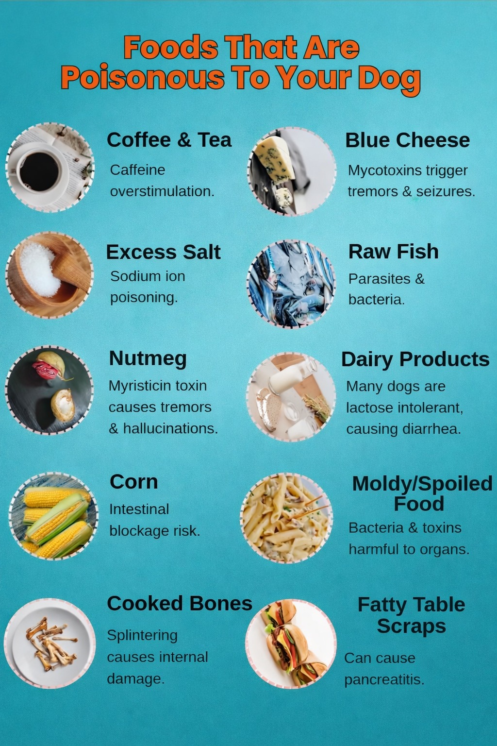 is blue cheese dressing bad for dogs Foods poisonous to include coffee, cheese, and raw fish Veterinary