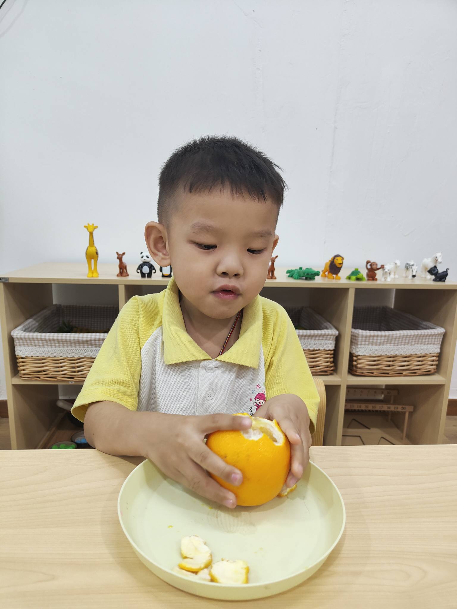小白家　橙影　贝壳光 🌟 小手大成长🌟 宝贝们学习自己剥橙子🍊，认真观察、动手尝试，一点一