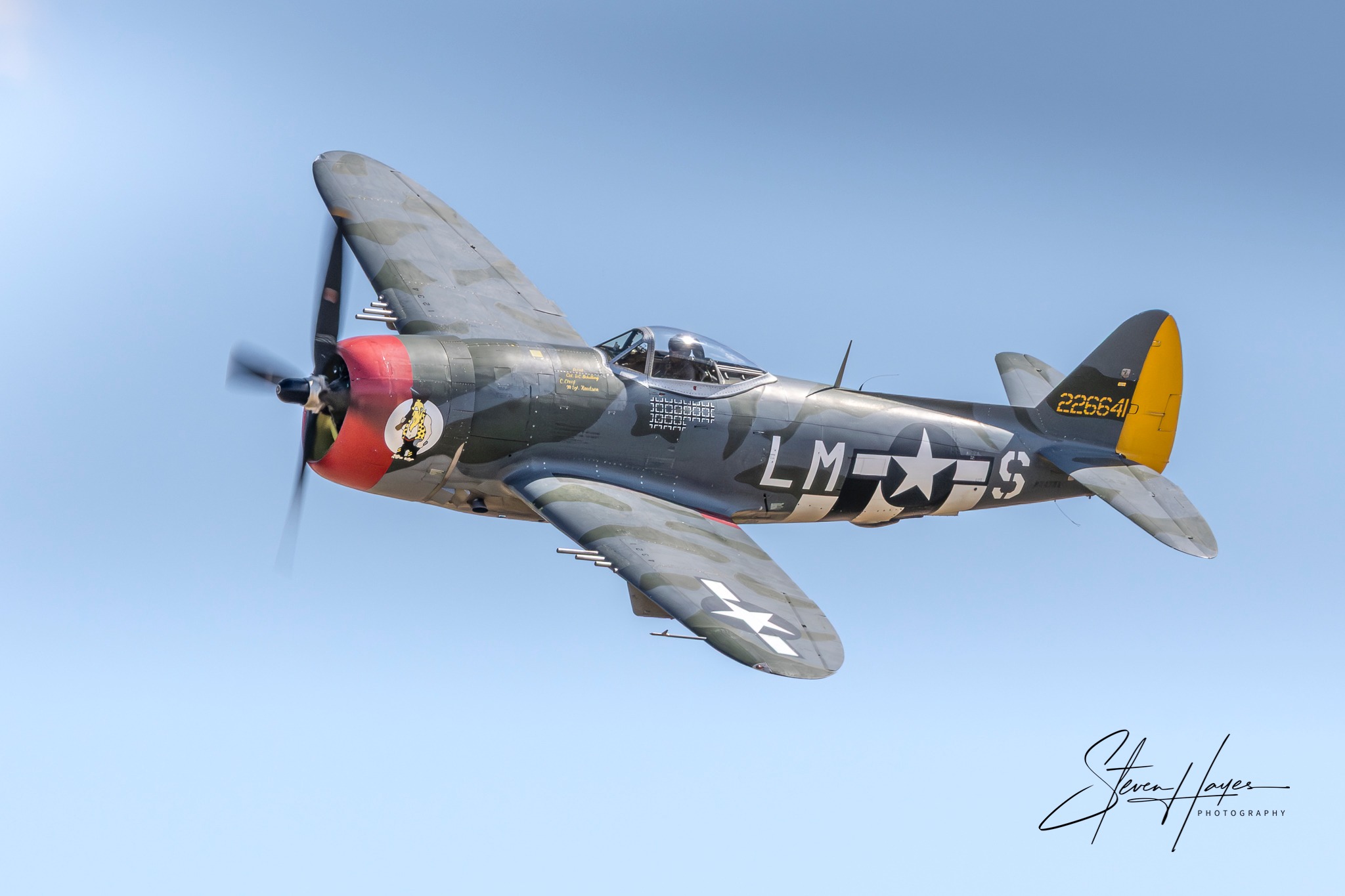 The P-47D Thunderbolt “White LMS Hairless Joe” of the 56th Fighter 