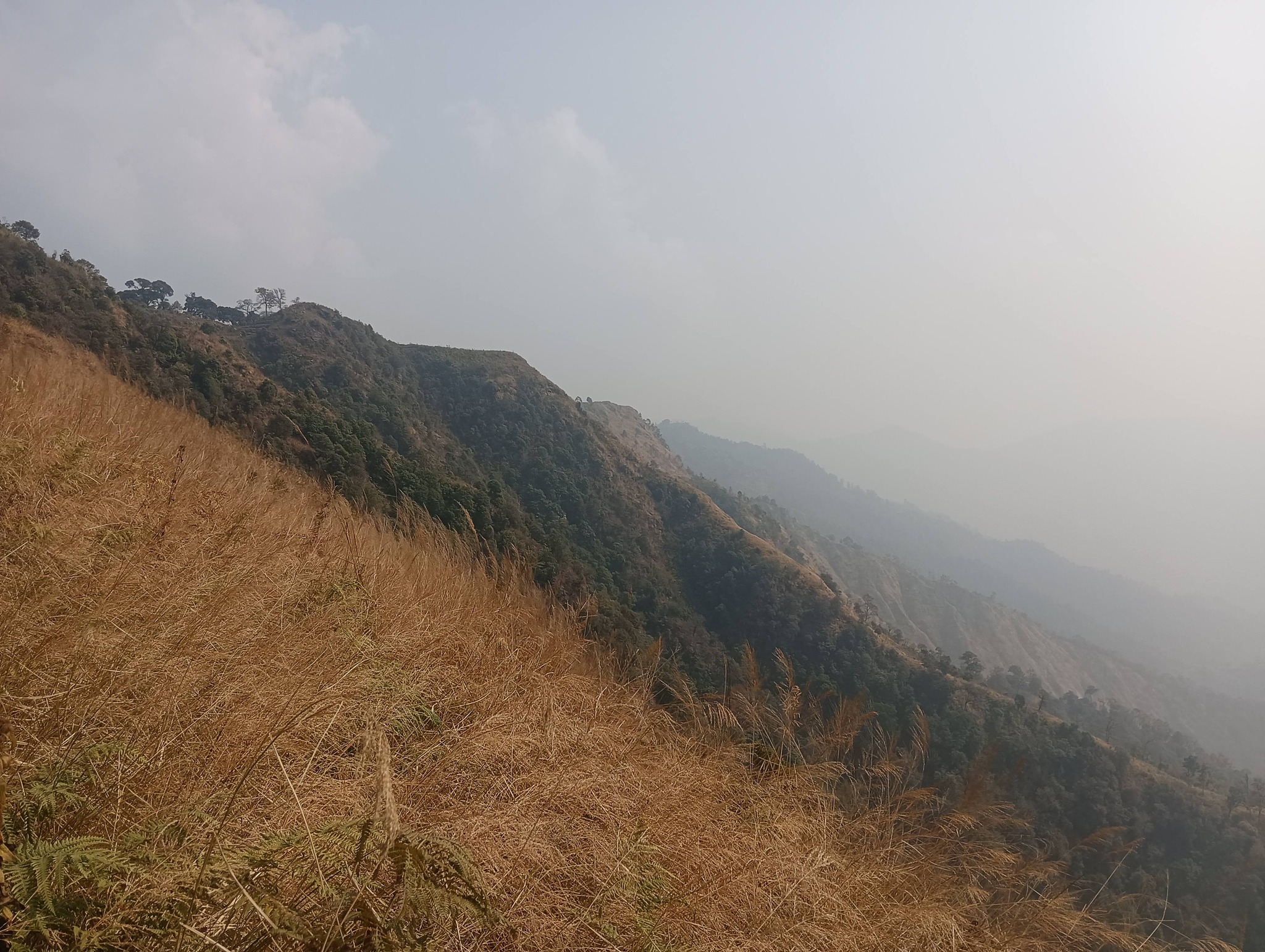 Green woods homestay Samthar