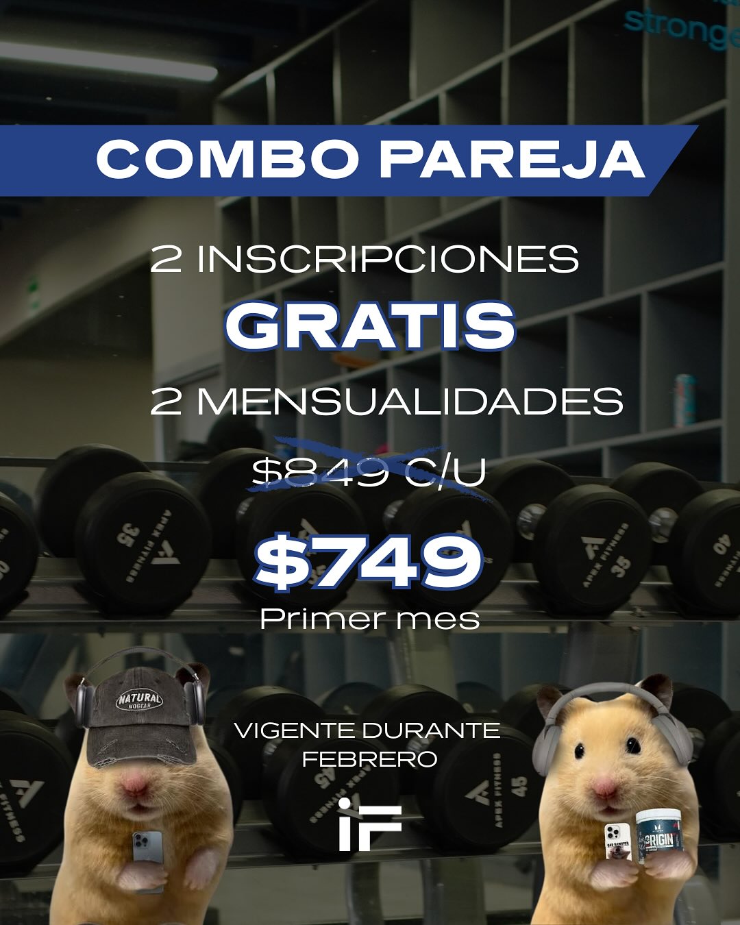 Iconic Fitness LAB | Saltillo