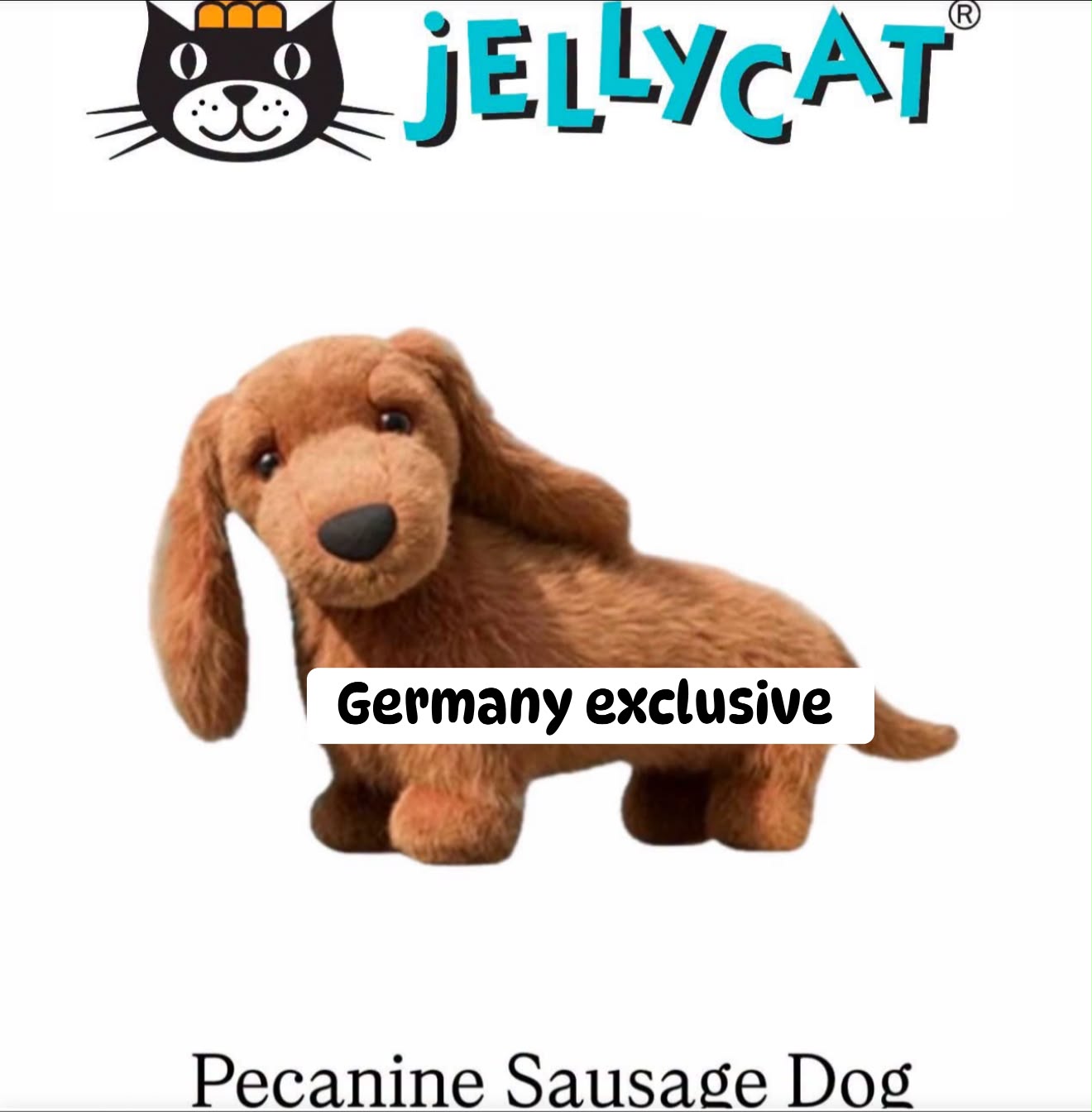 Jellycat Germany exclusive Pecanine Sausage Dog collectible
