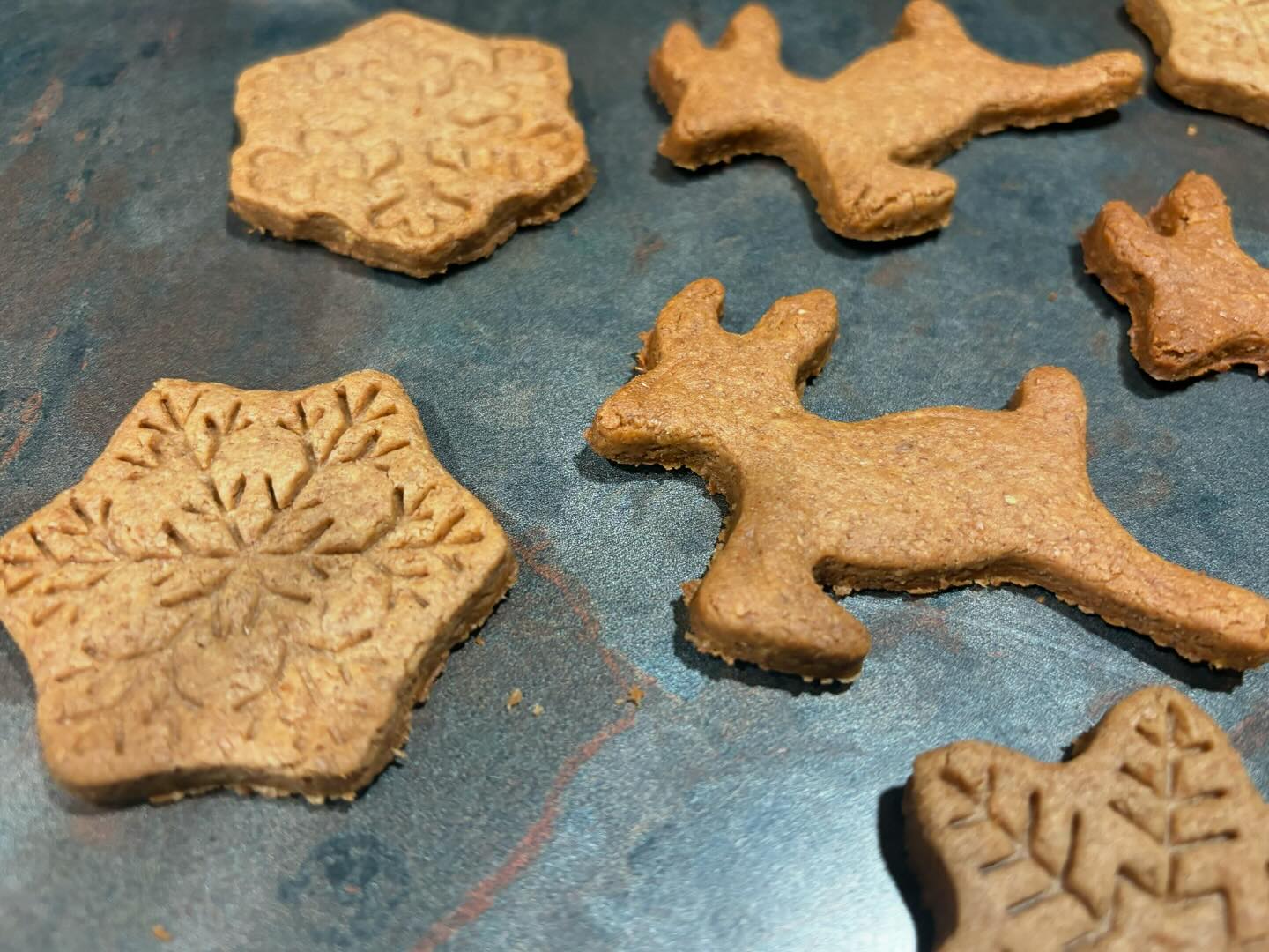 Pip's Pups Dog Bakery | Rochester NY