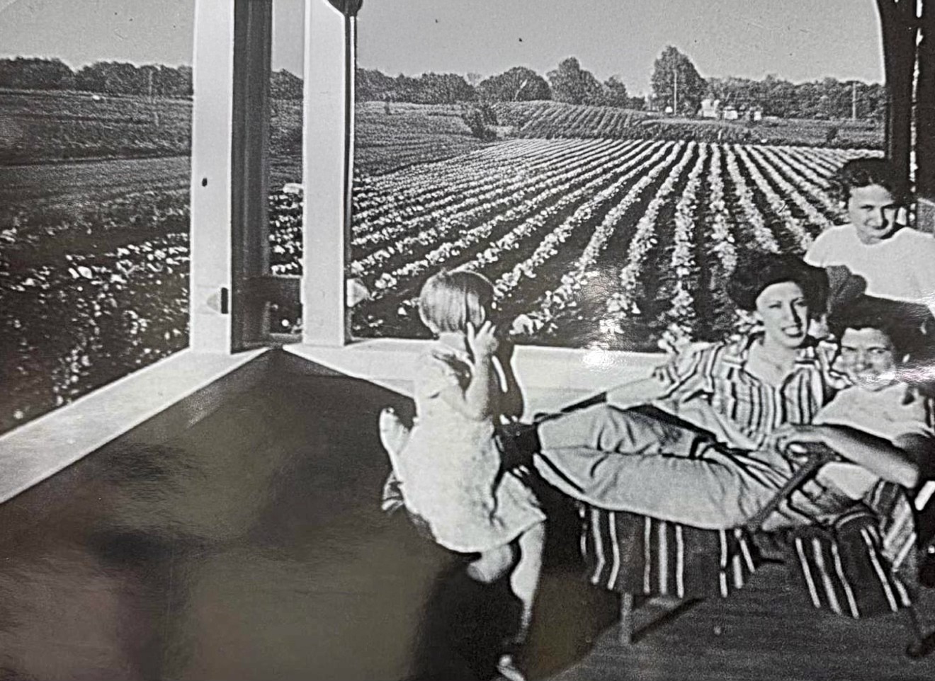 Family farm near Madison Heights, Michigan