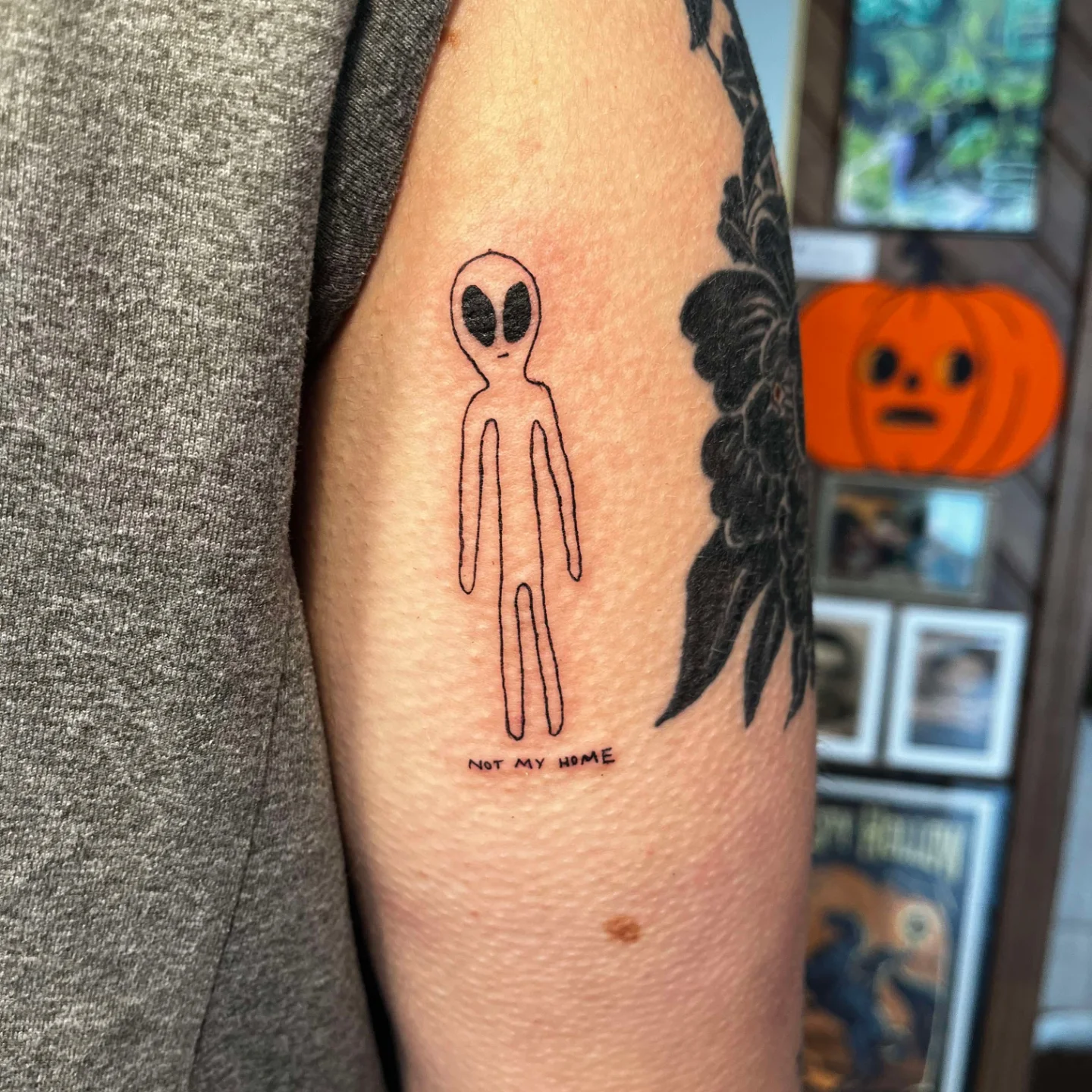 Storyline - :: Alien Visitor :: 