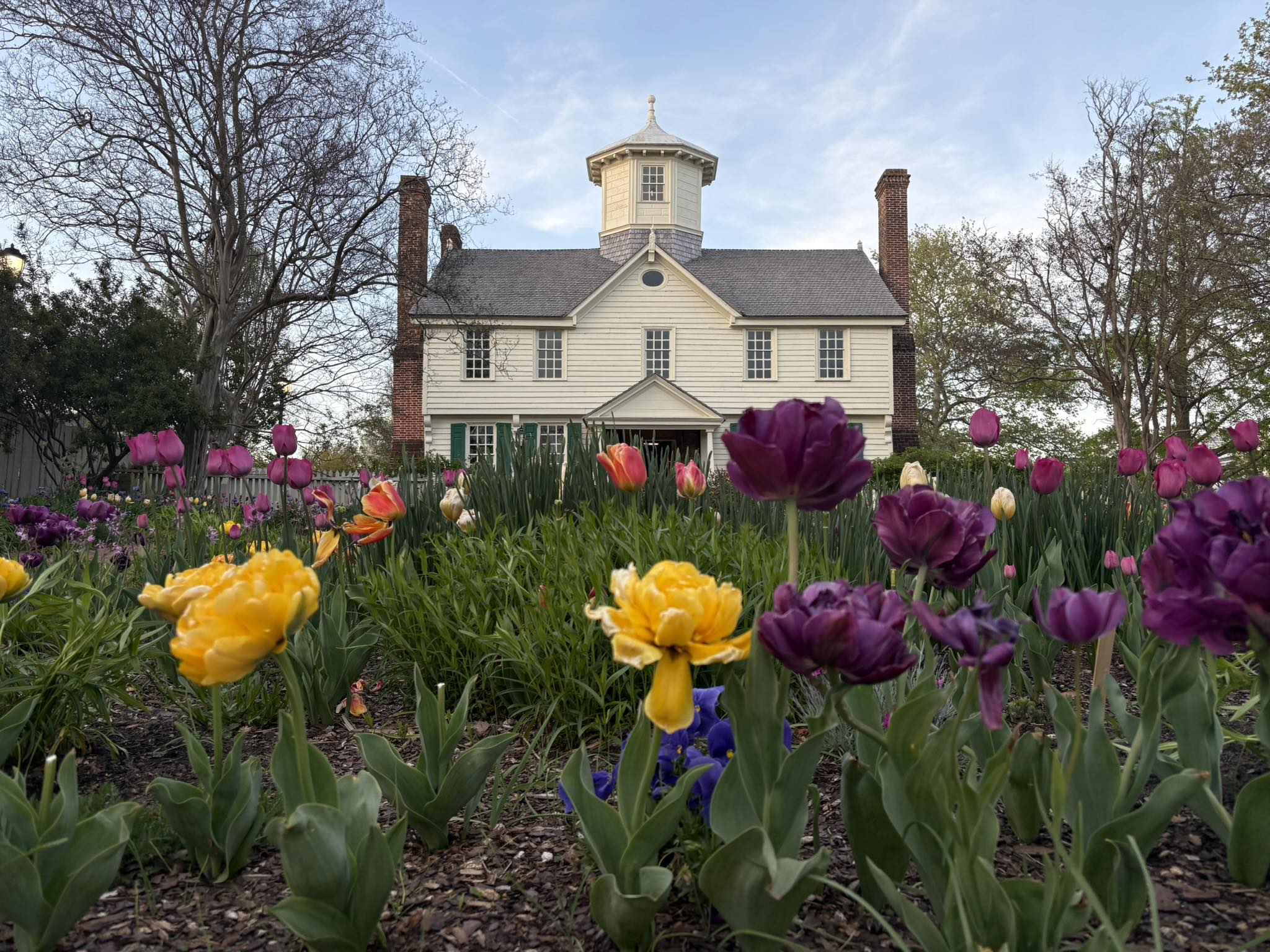 Albemarle Observer | Edenton NC