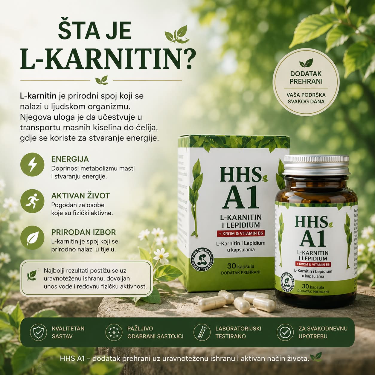 l carnitine za sta sluzi HHS PDF] Development of Ebselen, Quantity:1000kg isohydro Support fat metabolism
