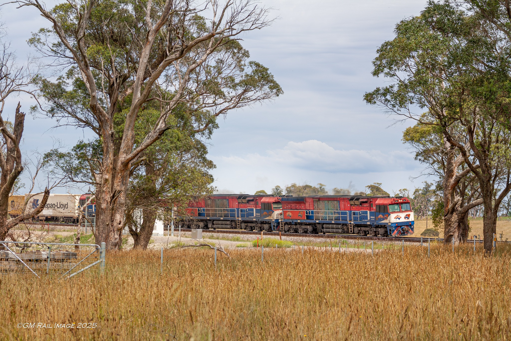 GM Rail Image