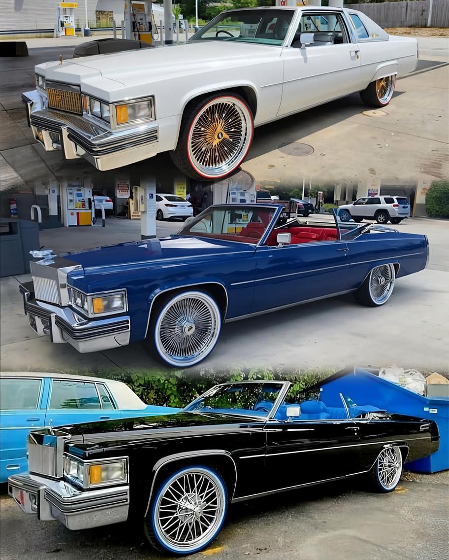 1981 Cadillac Coupe Deville😎😎😎 @jamesjackson615 #Caddie
