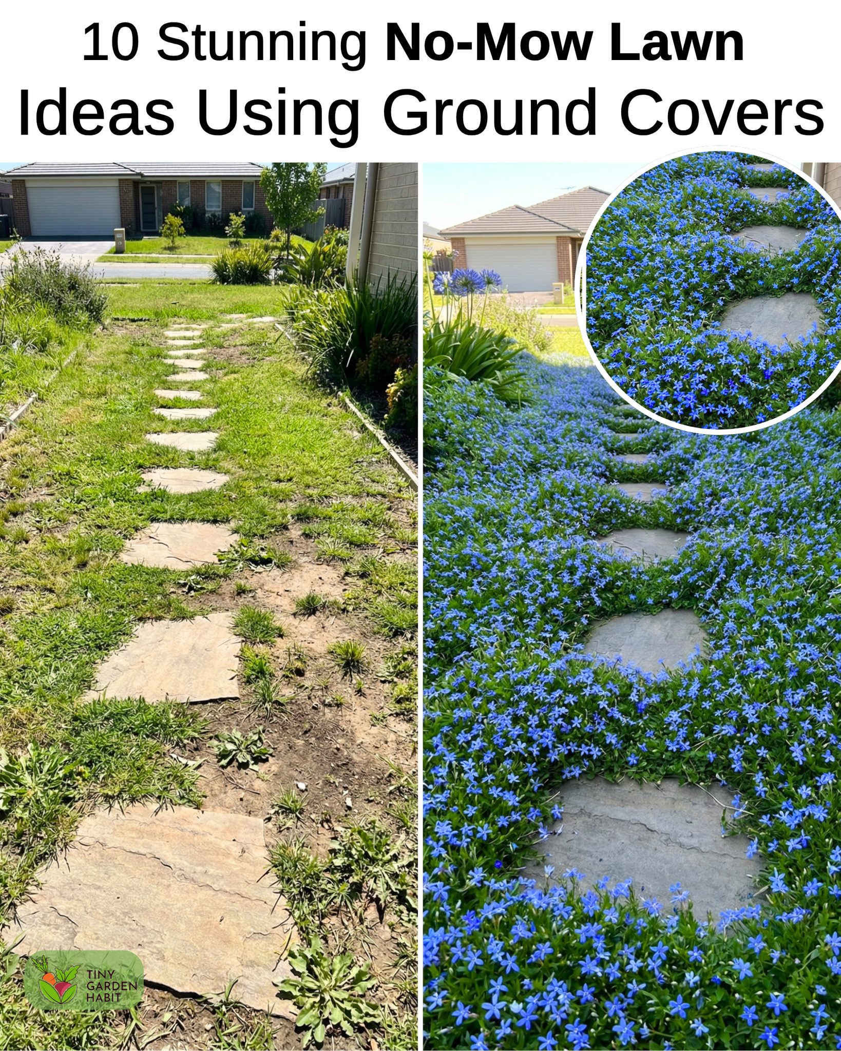 Tiny - A lush lawn does not have to mean constant upkeep 🌱 These 10 ...
