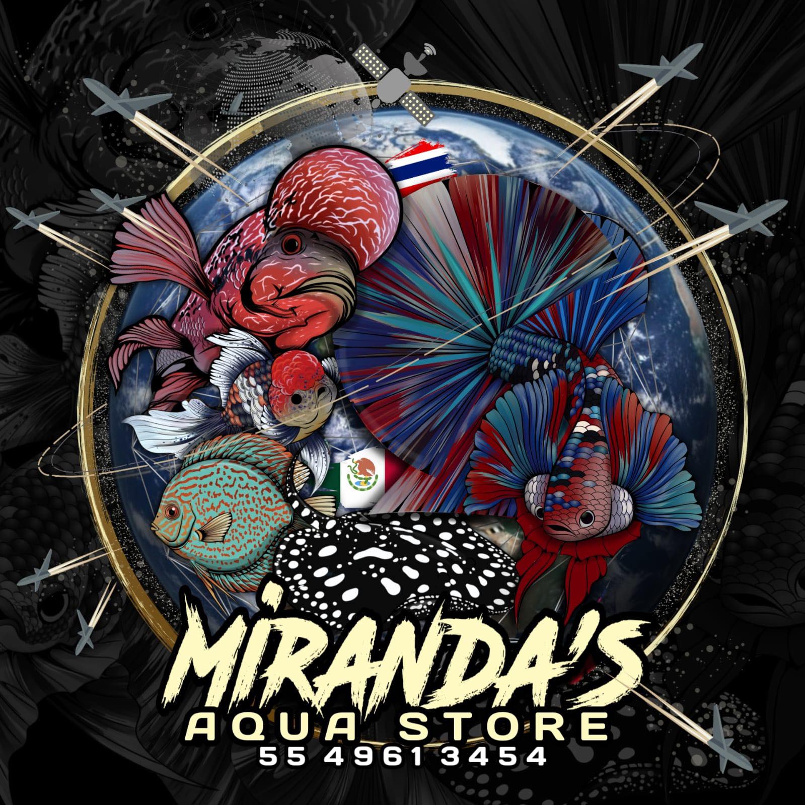 Miranda Global Fish | Mexico City