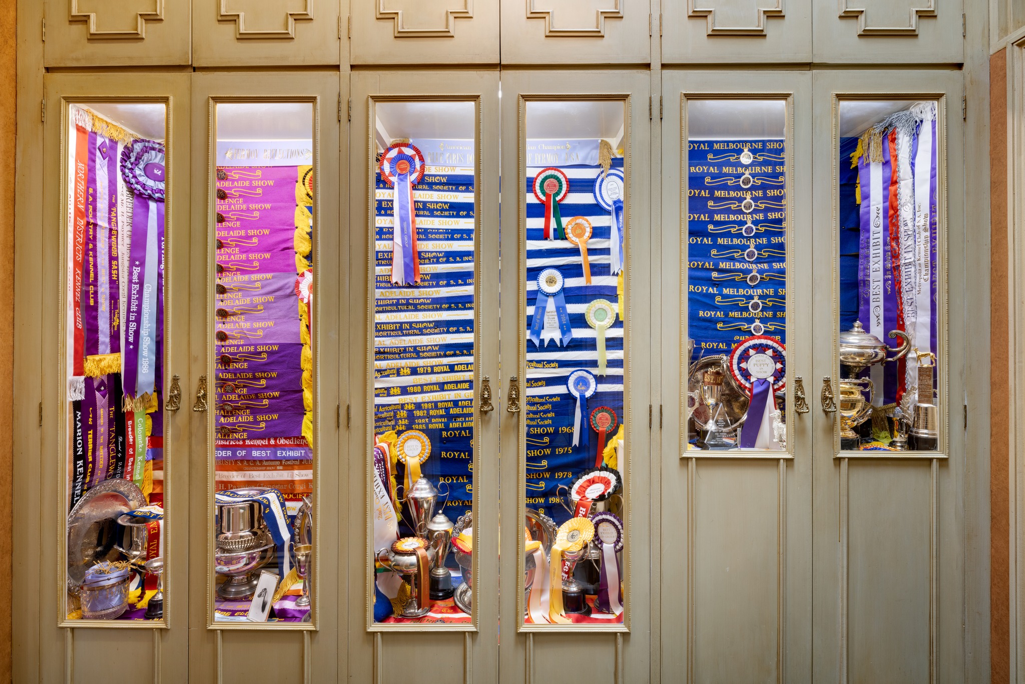 David - Just a few winning ribbons... This is only a small insight into ...