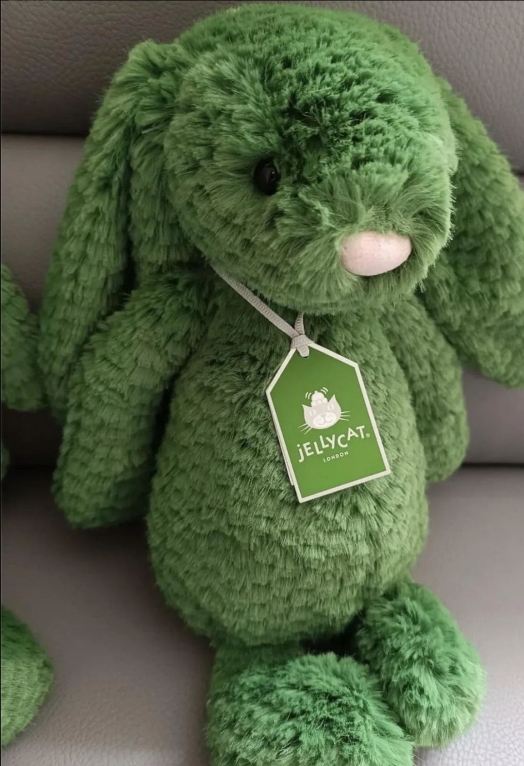 New delivery! My name is Smudge Rabbit 🐰🐰