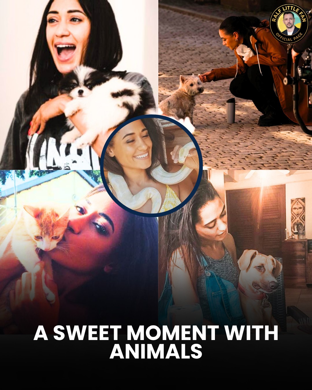 What pet is perfect for Josephine Jobert 