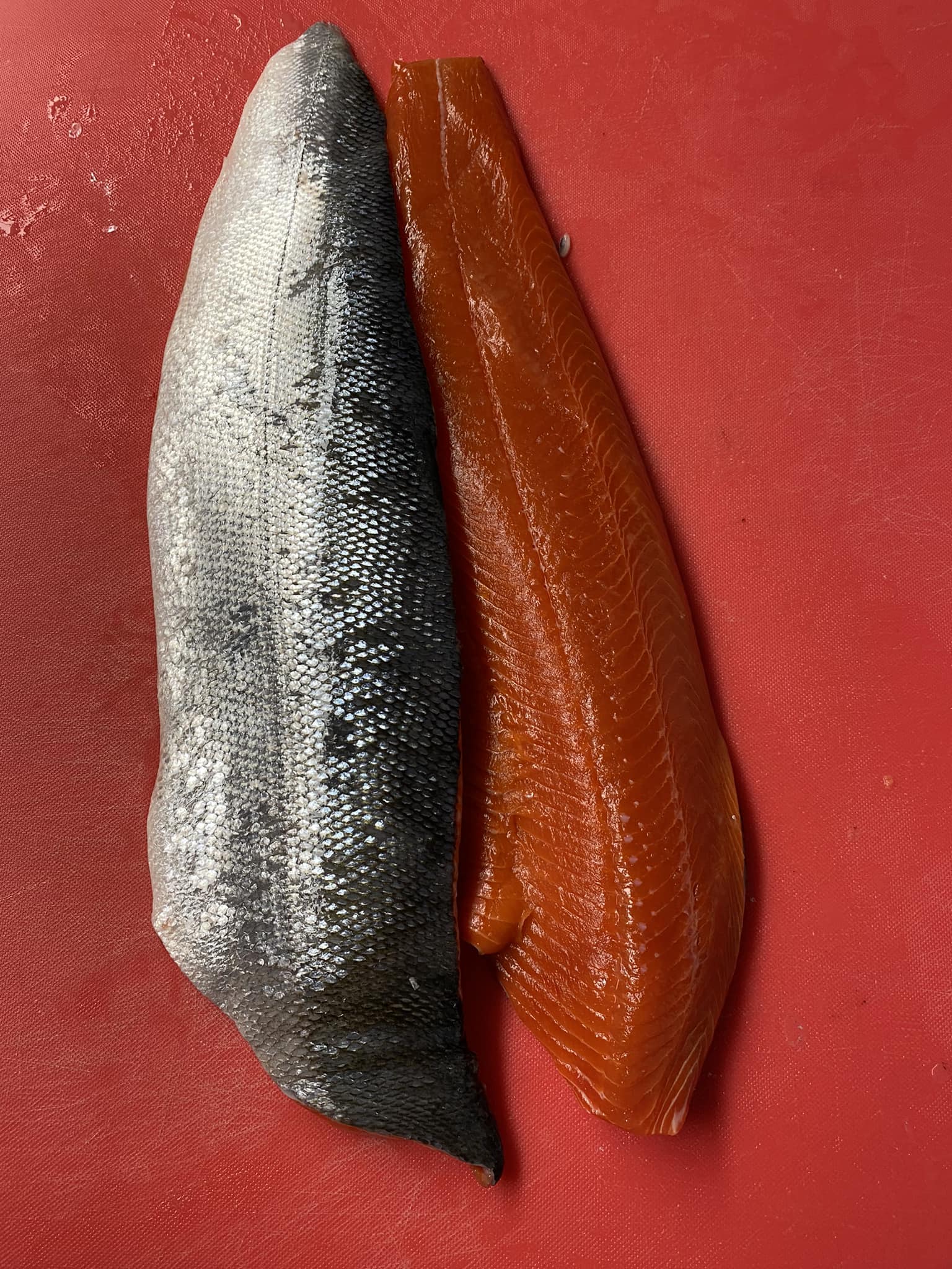 SPECIAL $$$$ on Wild Alaskan... - City Butcher & Fish | Facebook