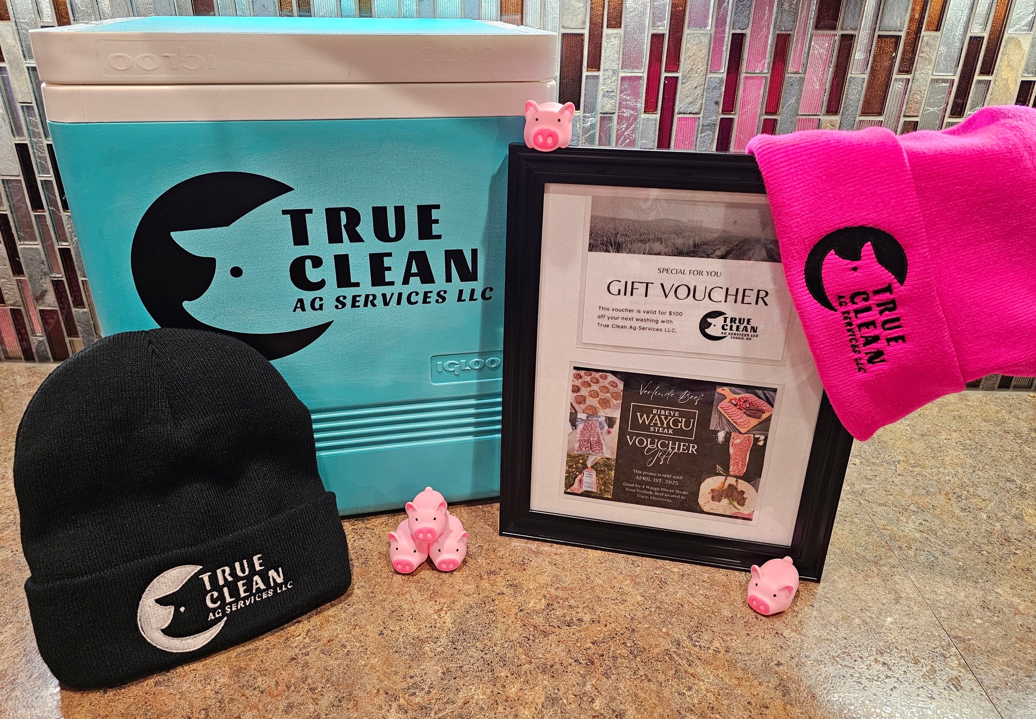 True Clean Ag Services LLC | Currie MN