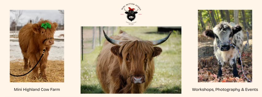 Mini Mitten Acres | Davison MI